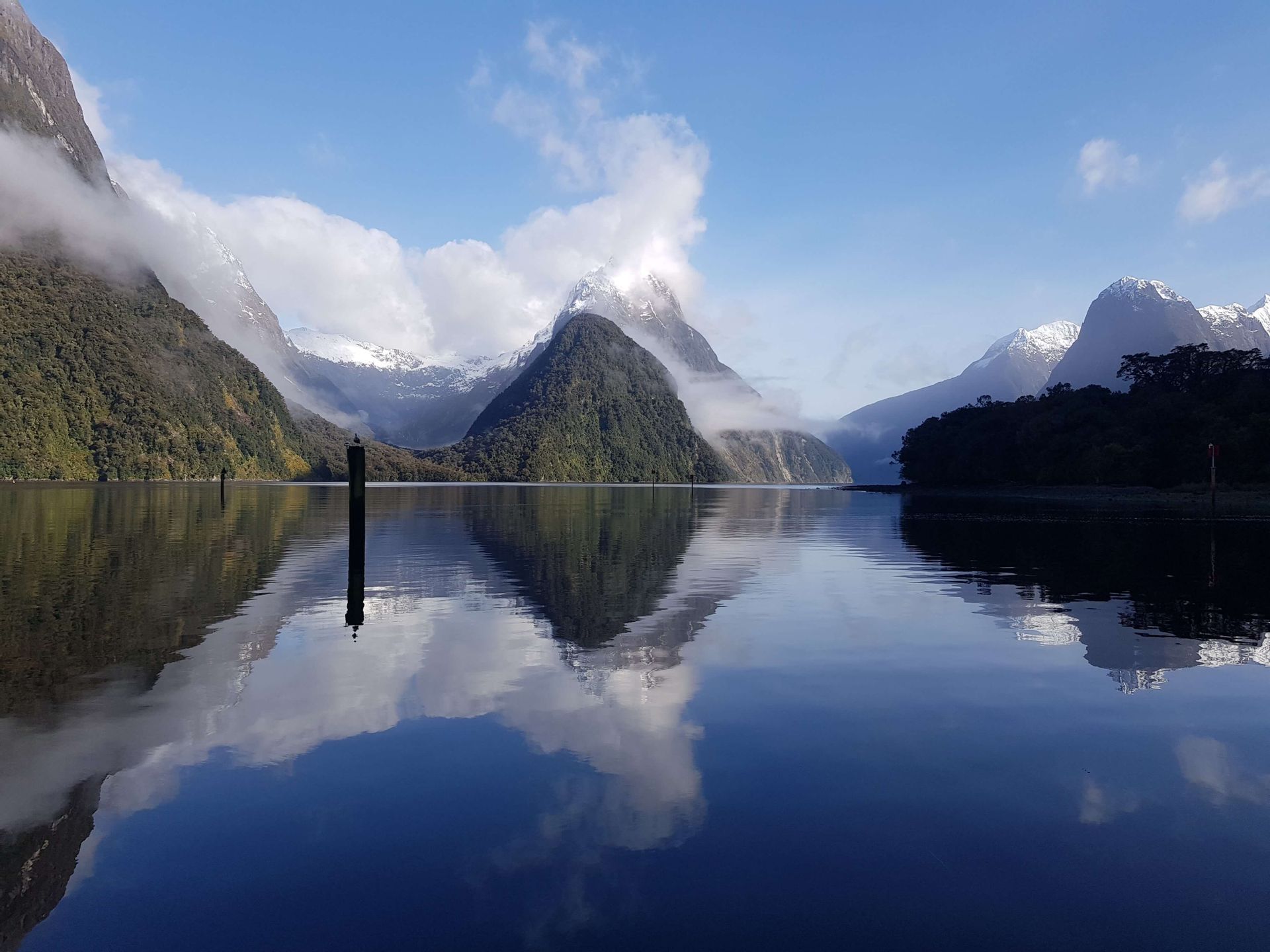 Forested mountains with snow-capped peaks are reflected in the still, clear water of a fjord under a blue sky.