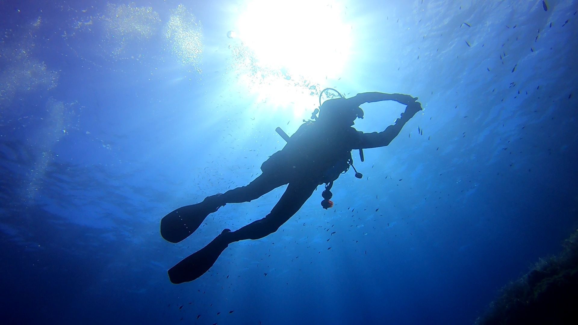 Una silhouette di un subacqueo che nuota in acque blu profonde, visto dal basso con il sole che filtra dalla superficie.