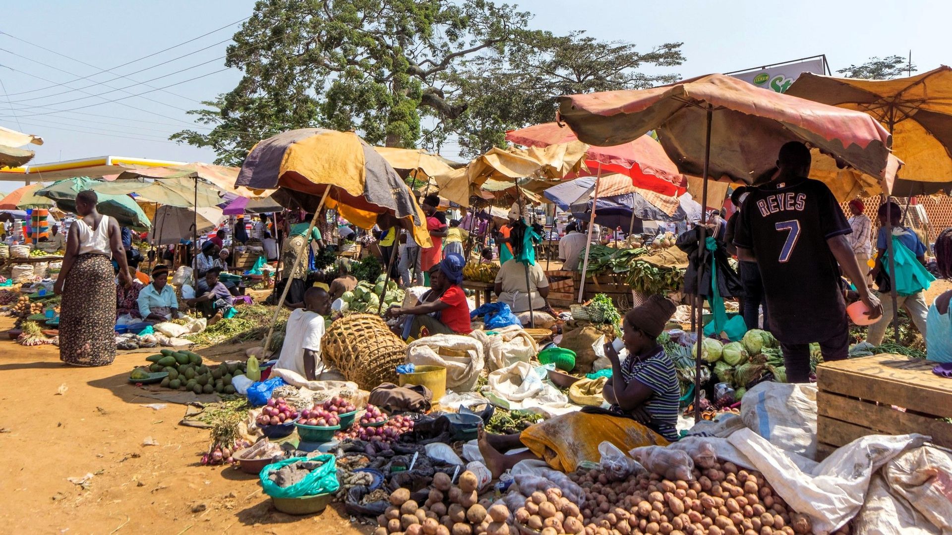 Ein belebter Freiluftmarkt, auf dem Menschen an einem sonnigen Tag unter bunten Sonnenschirmen frisches Gemüse kaufen und verkaufen.