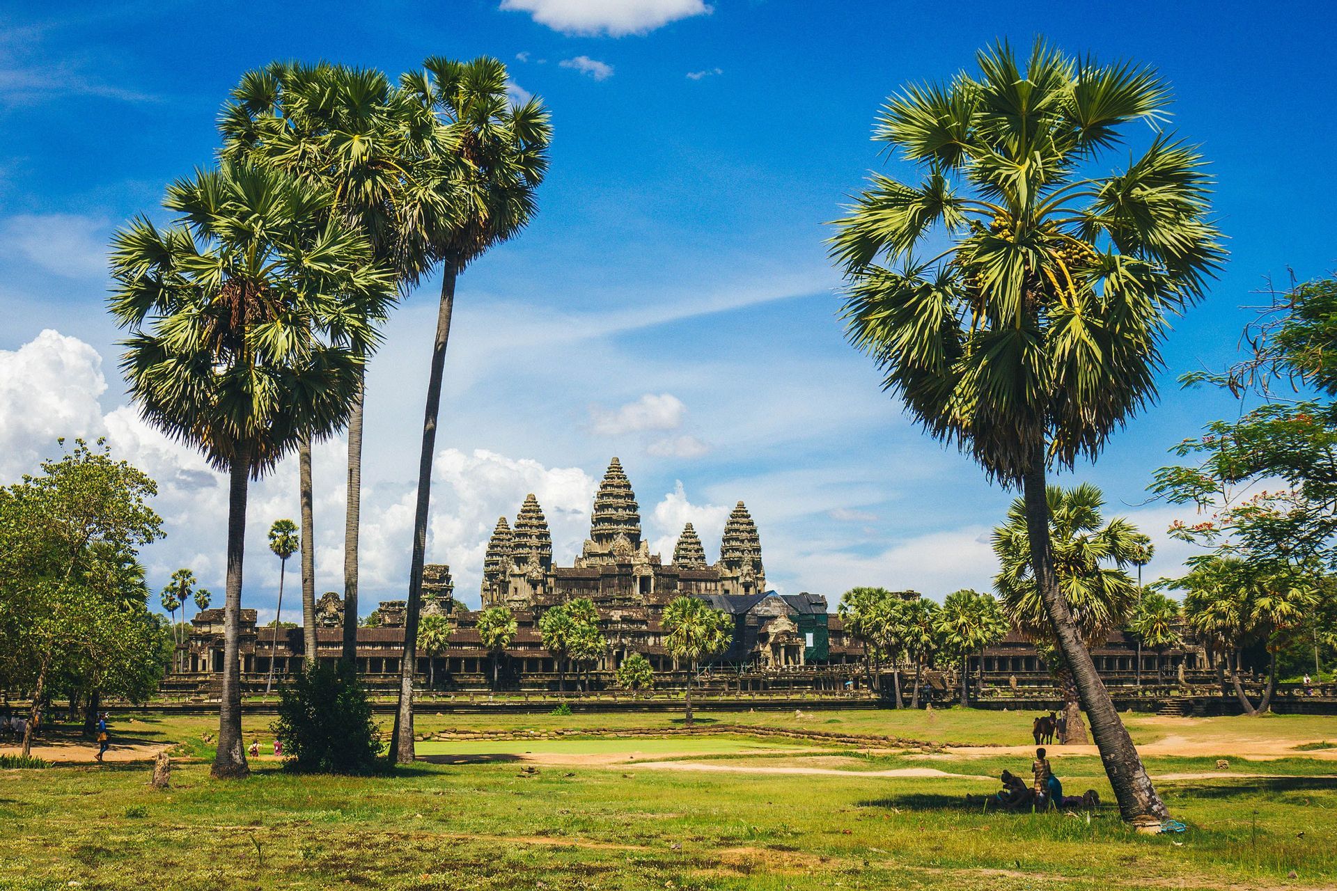 Un'ampia veduta del complesso del tempio di Angkor Wat con alte palme in primo piano su un prato, in una giornata di sole.