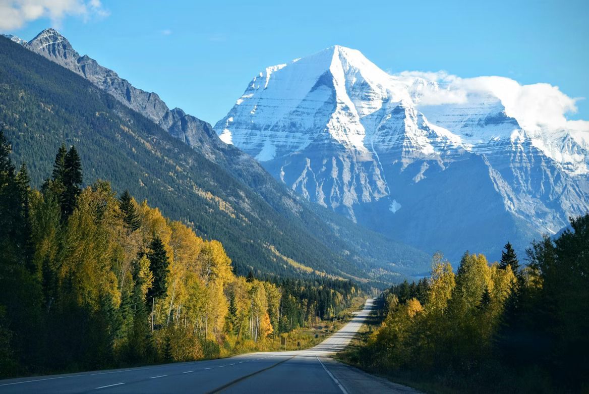 Una carretera desierta atraviesa un bosque de hojas amarillas, que conduce a una gran montaña nevada.