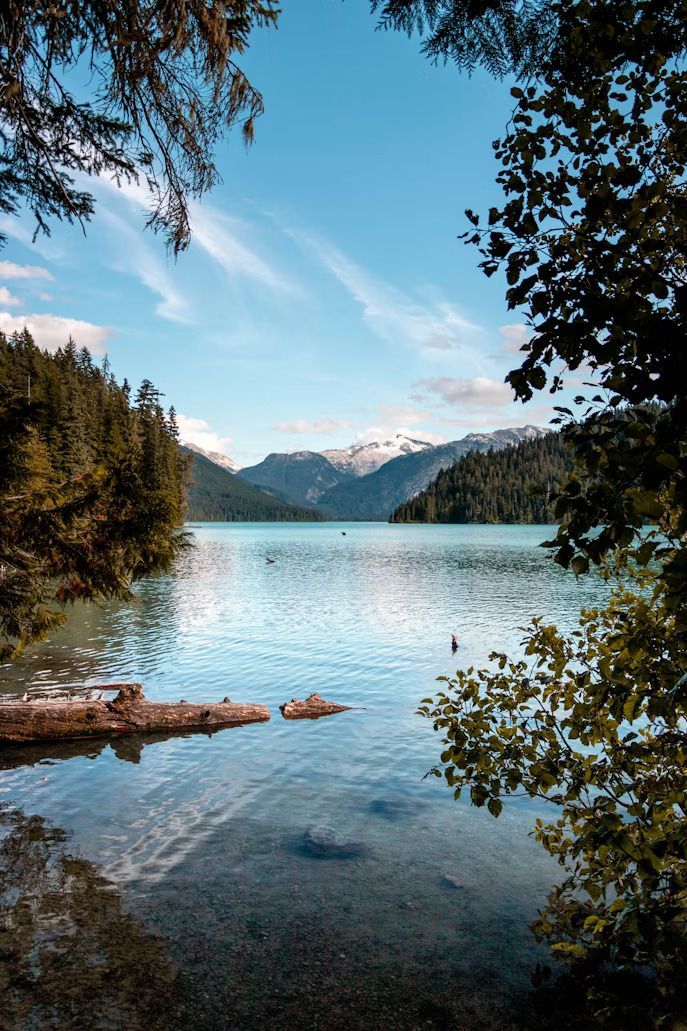Un sereno lago alpino con agua cristalina, rodeado de densos bosques de pinos y montañas nevadas bajo un cielo parcialmente nublado.