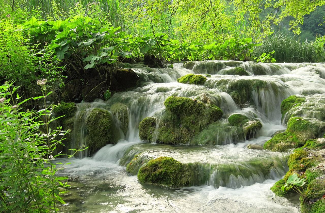 Ein kleiner Wasserfall fließt über moosbewachsene Felsen in einem üppigen, grünen Wald.