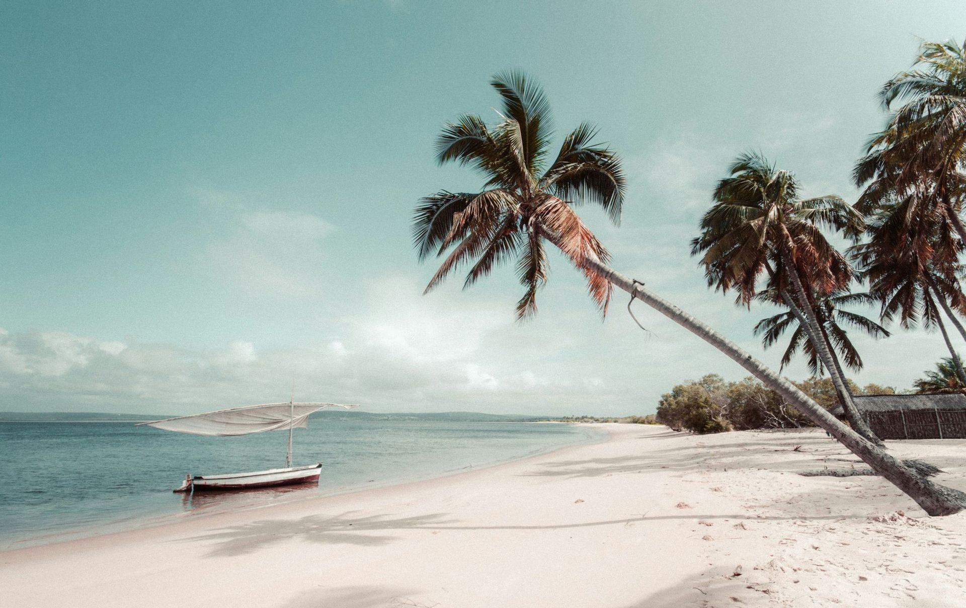 A leaning palm tree on a sandy tropical beach with a small boat anchored in the calm, blue ocean.