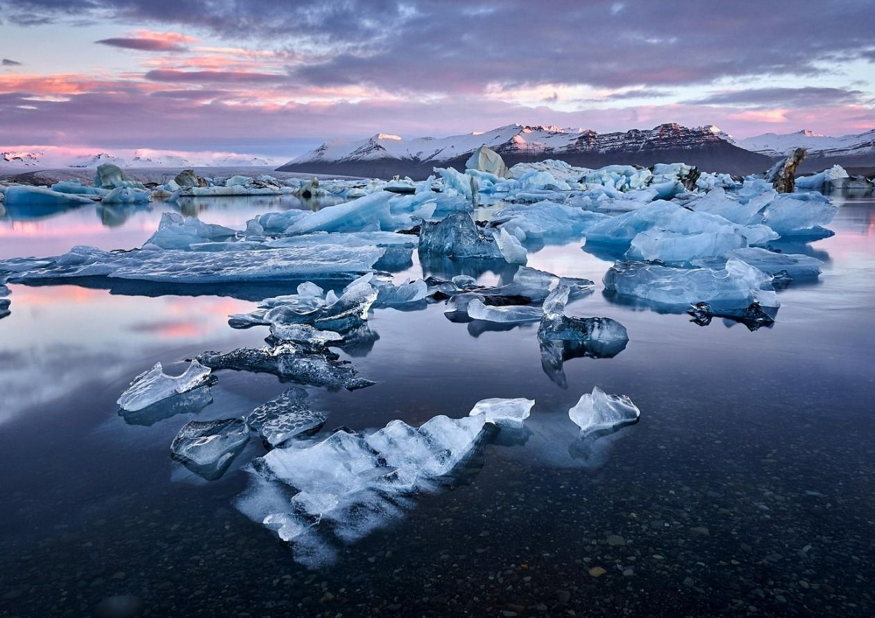 Iceberg e blocchi di ghiaccio galleggiano in una laguna calma al tramonto, con montagne innevate in lontananza sotto un cielo rosa e viola.