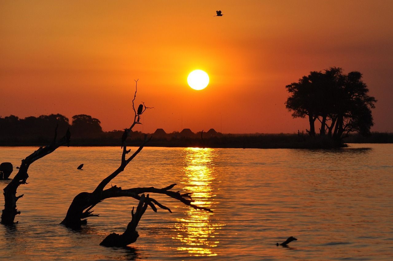 The sun sets over a calm river, casting an orange glow on the water and silhouetting trees and birds.