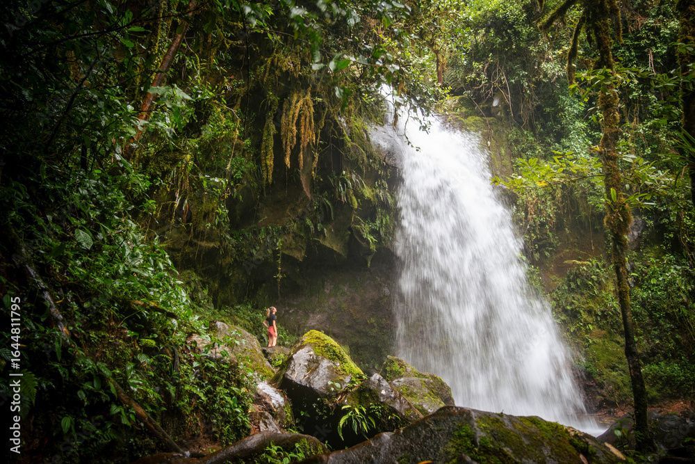 Una persona si trova su rocce muschiose, ammirando una potente cascata che scende attraverso una rigogliosa foresta pluviale verde.