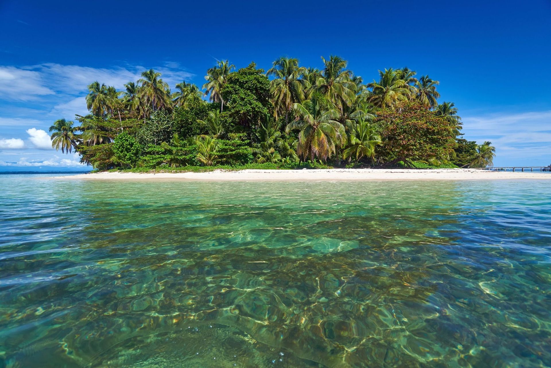 Una piccola isola tropicale con palme e una spiaggia di sabbia bianca, vista dalle acque cristalline color turchese sotto un cielo azzurro brillante.
