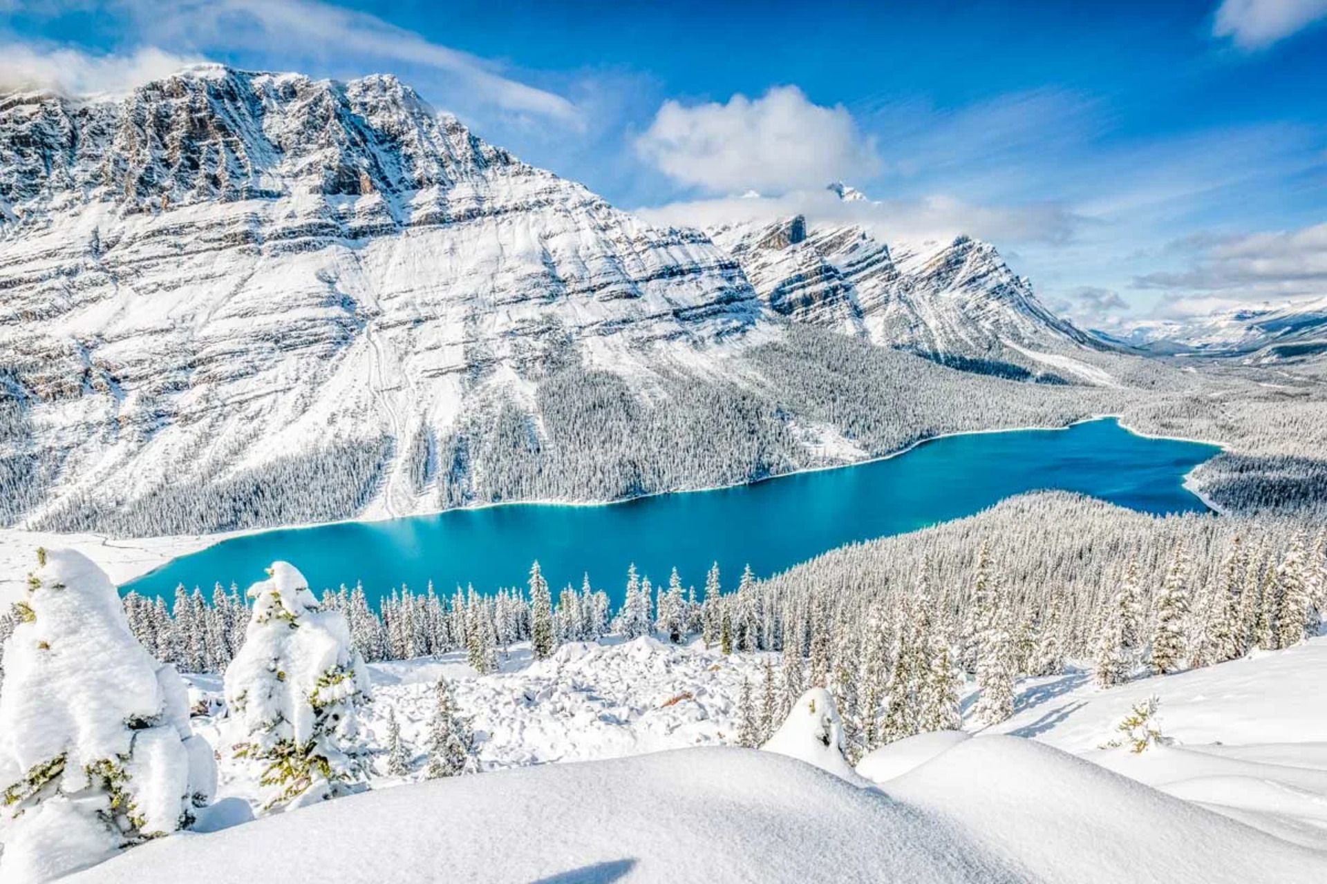 Un vivace lago turchese circondato da una vasta foresta innevata ai piedi di grandi montagne innevate.