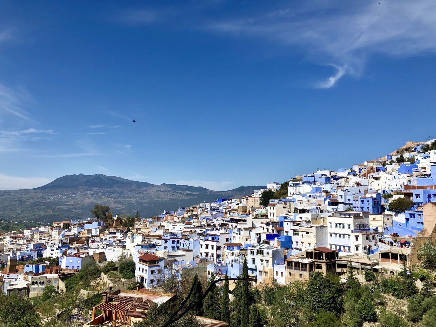 A panoramic view of a city with blue and white buildings on a hillside, with mountains in the background under a clear sky.
