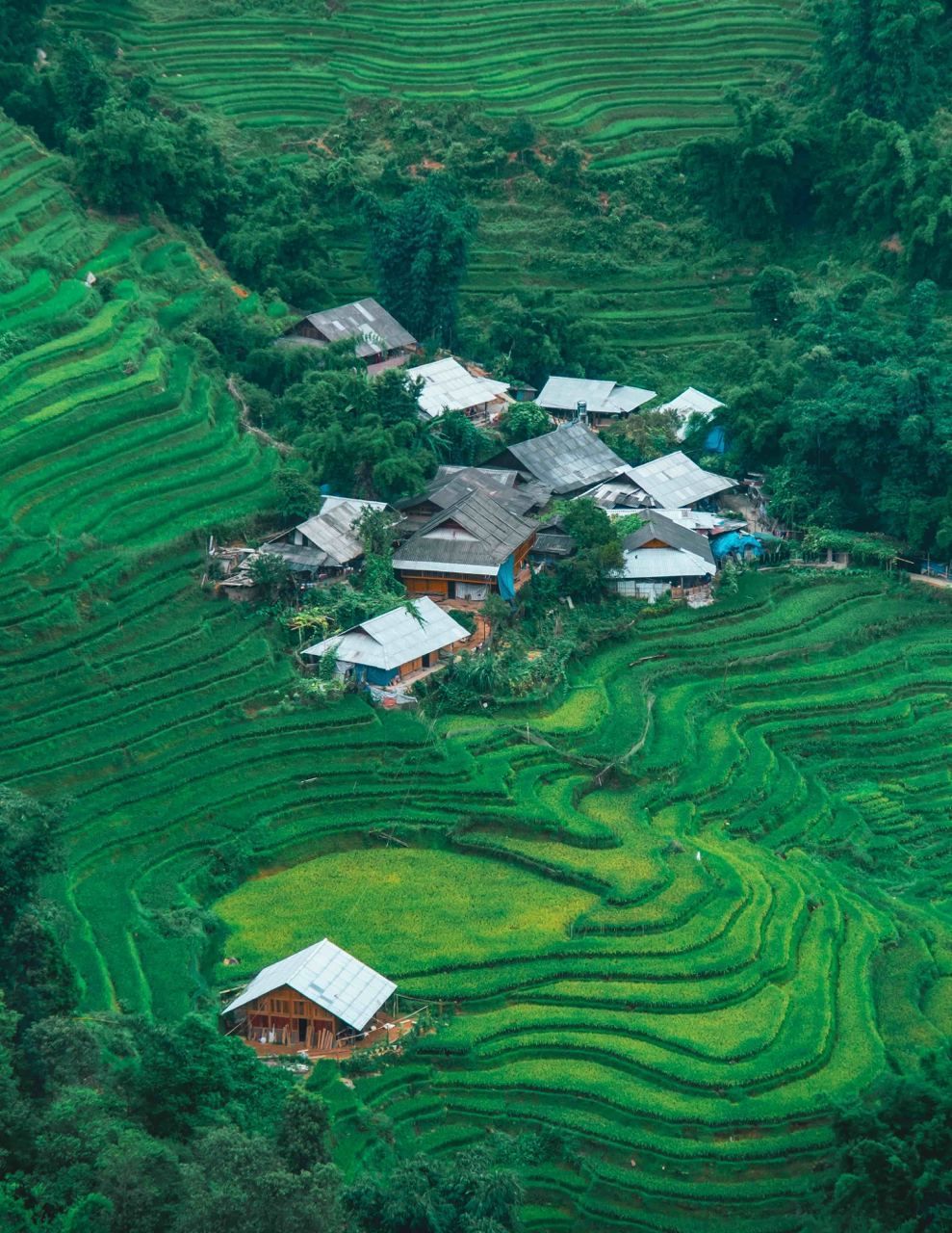 A high-angle view of a small village nestled among vibrant green terraced rice paddies covering rolling hills.