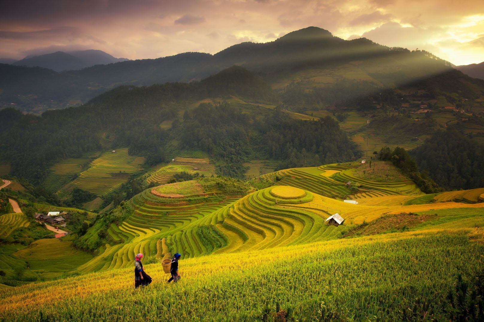 Two people in traditional clothing walk through golden terraced rice fields on a hillside, with mountains in the background and sunbeams overhead.