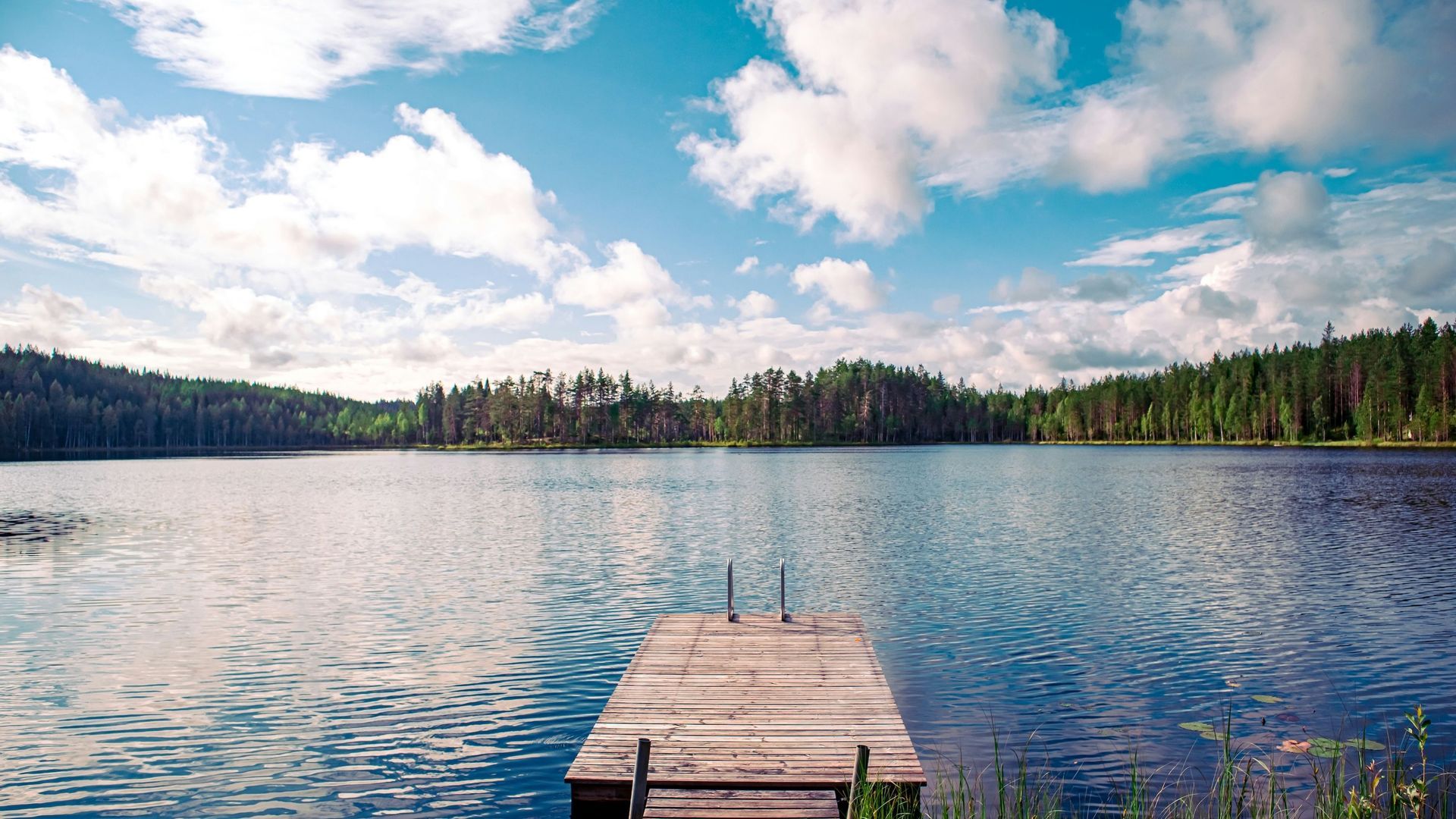 Un molo di legno con una scala si estende in un lago calmo, di fronte a una riva fiancheggiata da una fitta pineta sotto un cielo blu e nuvoloso.