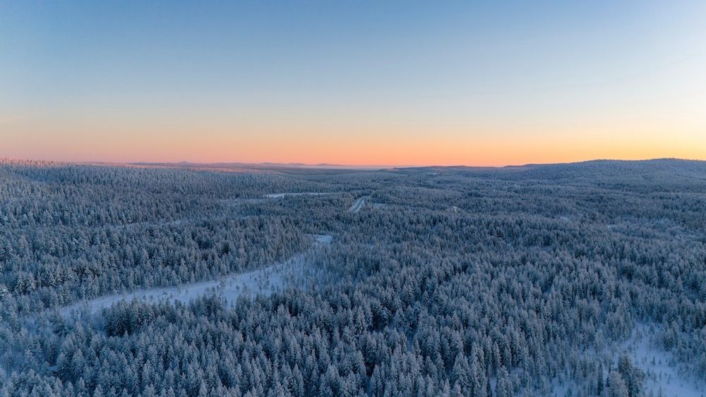 Veduta aerea di una vasta foresta collinare con alberi interamente coperti di neve al tramonto.