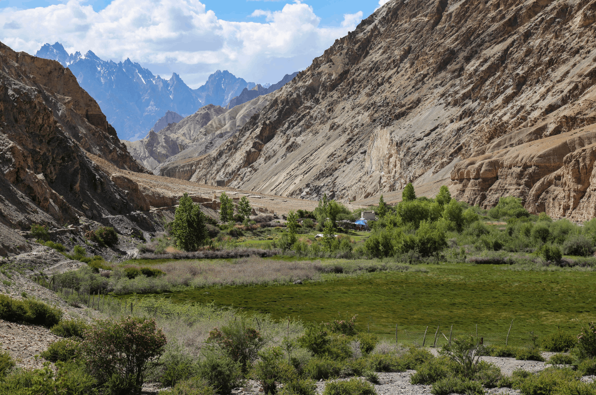 A lush green valley with scattered trees sits between steep, rocky canyon walls, with distant snow-capped mountains under a cloudy sky.