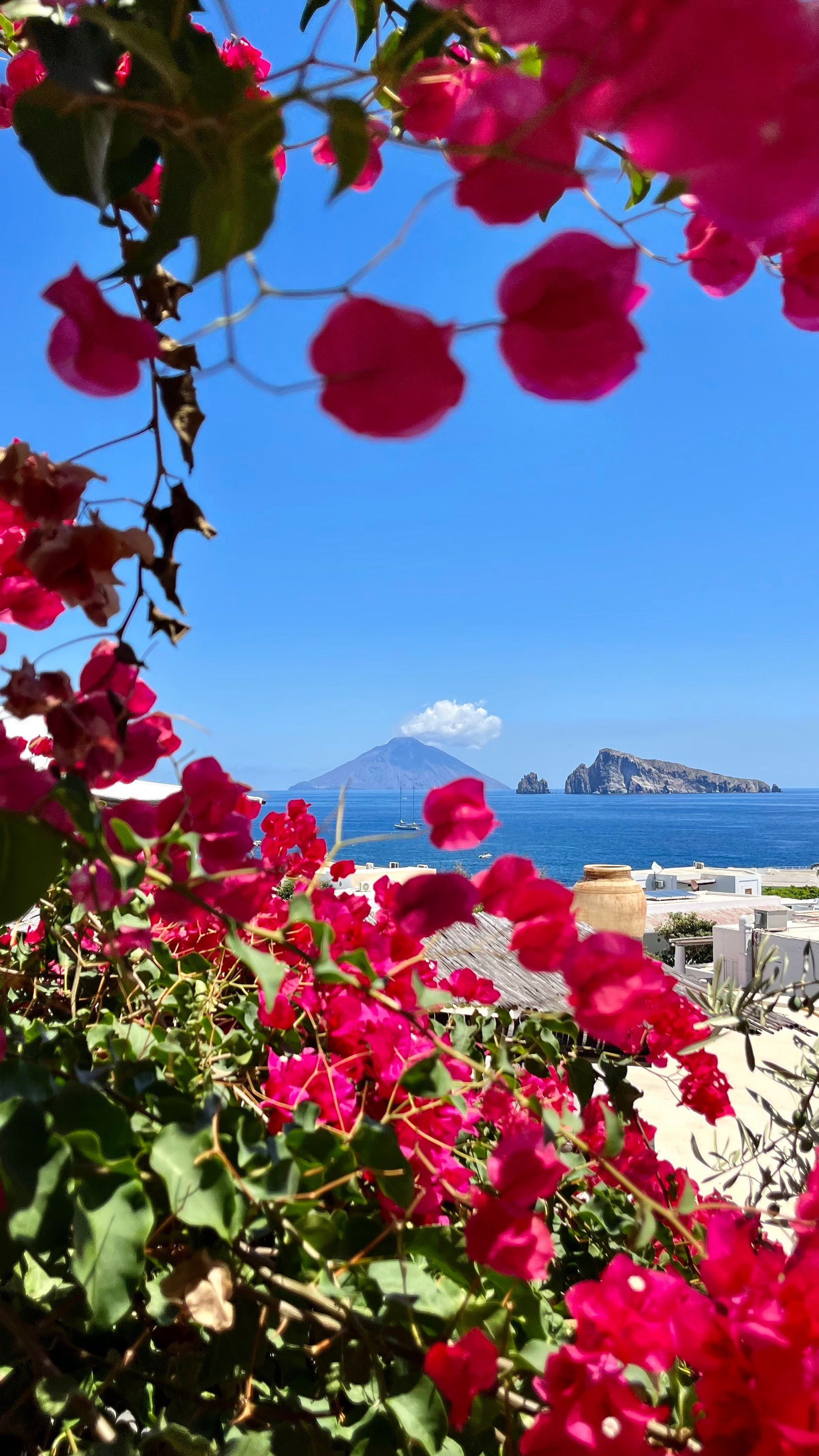 Una vista attraverso vivaci bougainvillea rosa di un'isola vulcanica fumante e di un altro isolotto in un mare blu calmo.