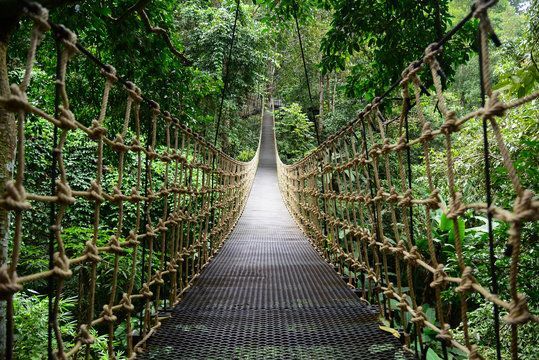 Une longue passerelle suspendue en cordes, avec un chemin en caillebotis métallique, traverse une jungle dense et luxuriante.