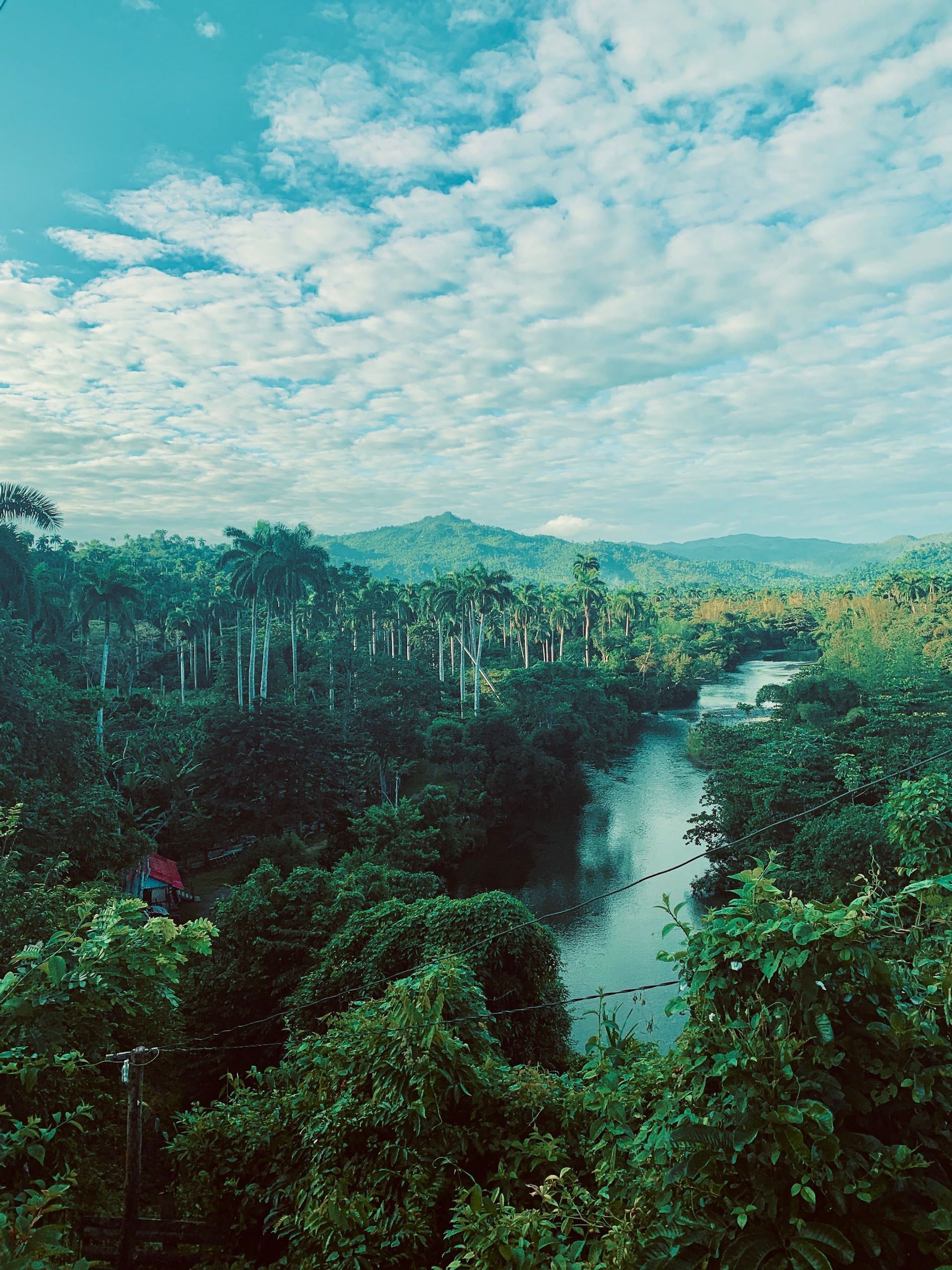 A high-angle view of a river winding through a dense jungle valley filled with tall palm trees, with mountains on the horizon under a cloudy sky.