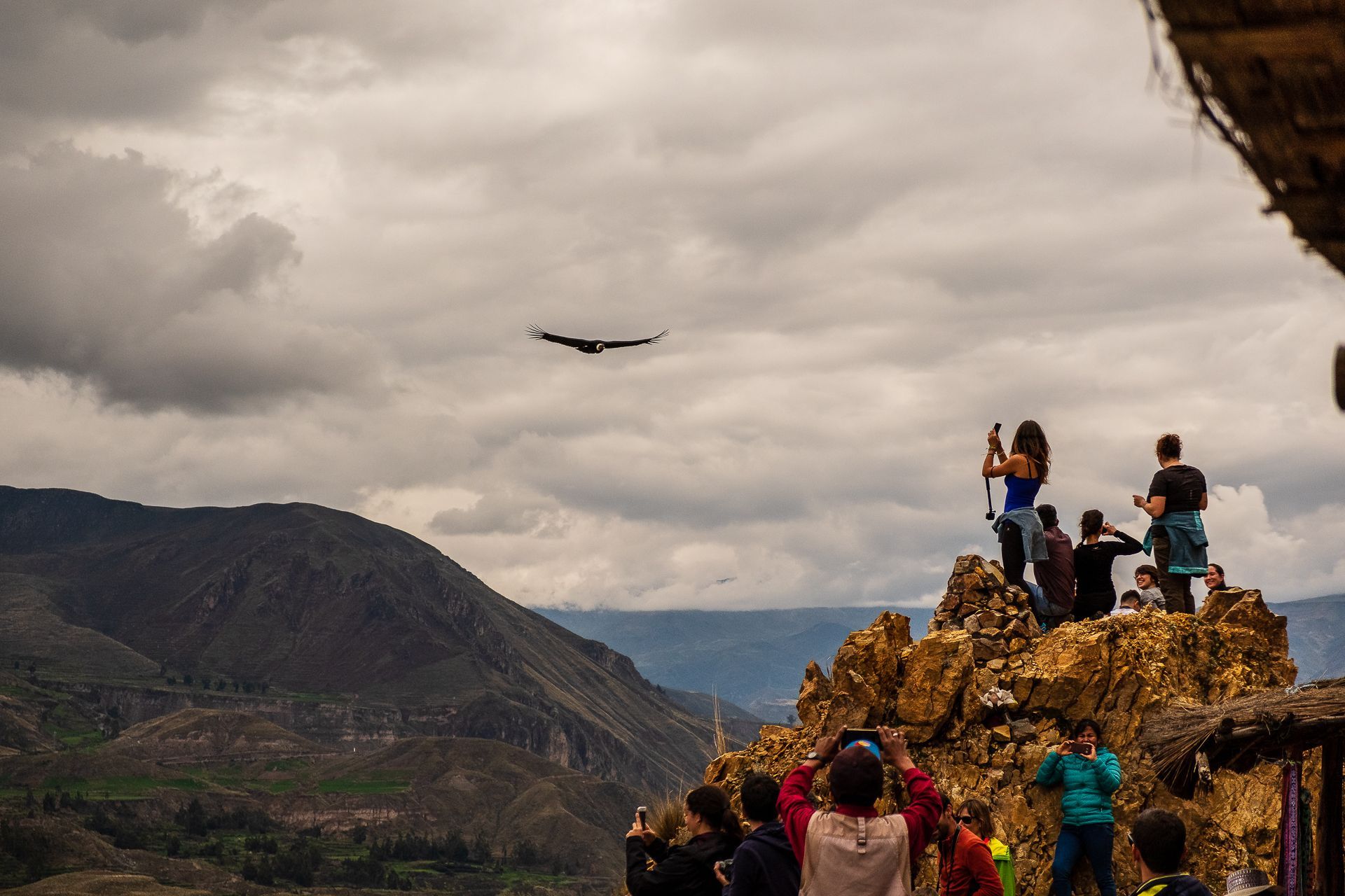 Eine WeRoad Gruppenreise fotografiert auf einem felsigen Aussichtspunkt einen Kondor, der über eine Bergschlucht unter bewölktem Himmel fliegt.