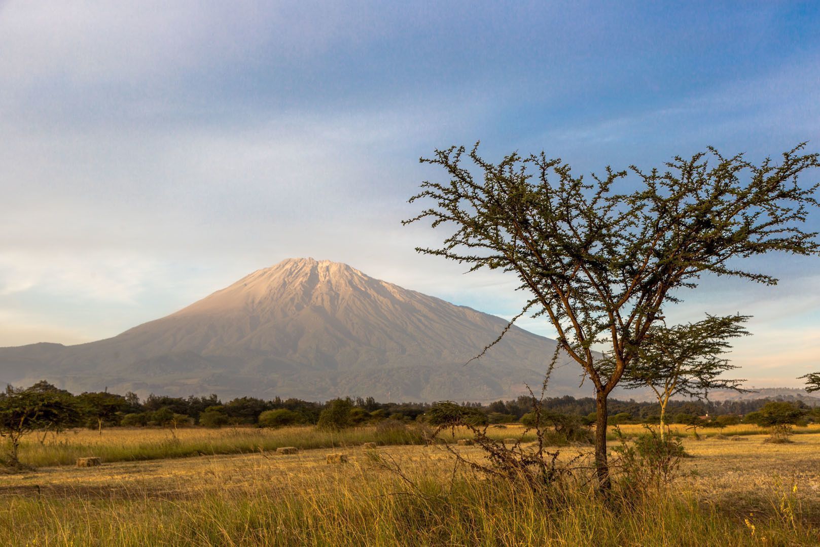 tanzania-travel-summer-kilimajaro.jpg