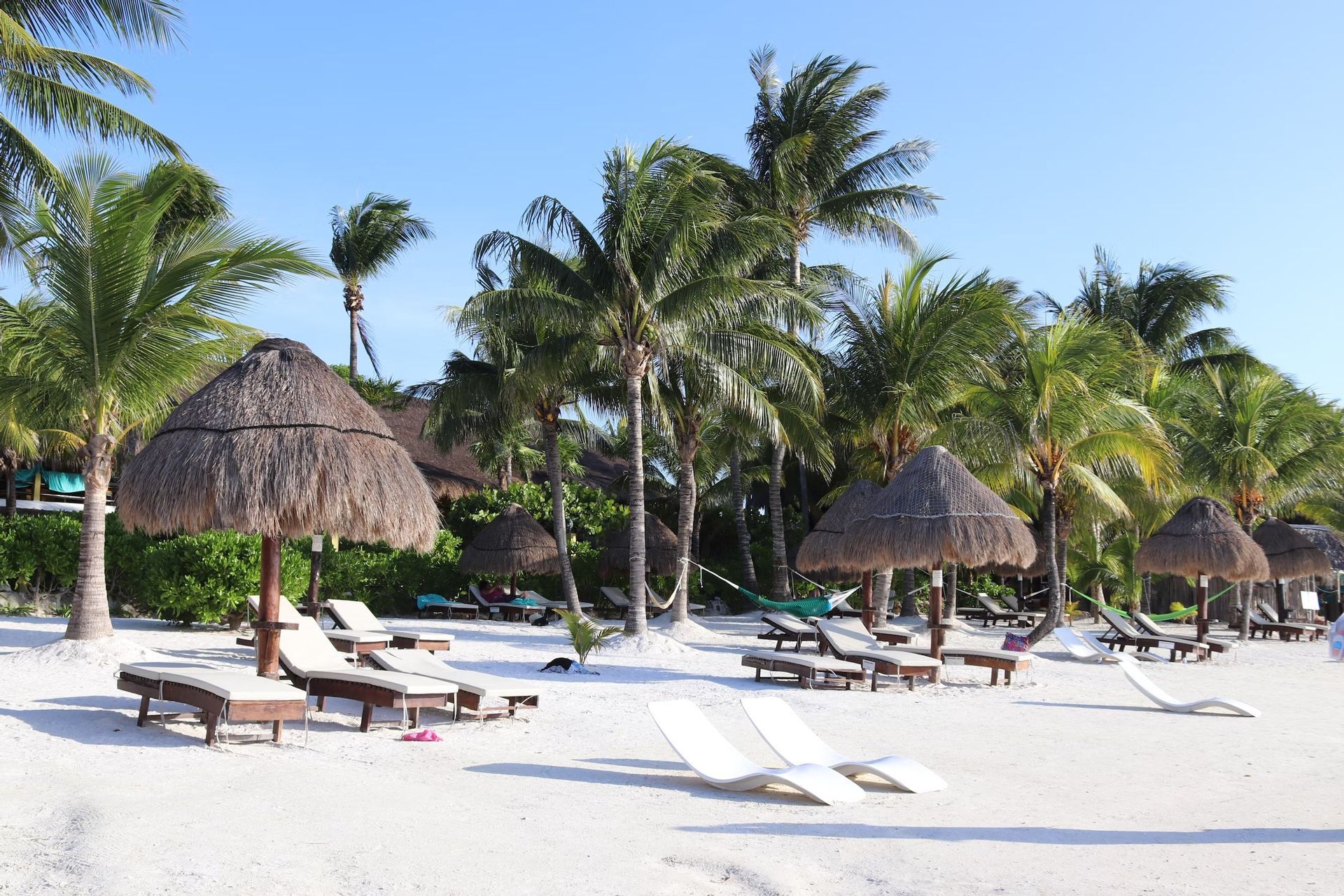 Chaises longues et parasols de paille disposés sur une plage de sable blanc bordée de palmiers sous un ciel bleu azur.