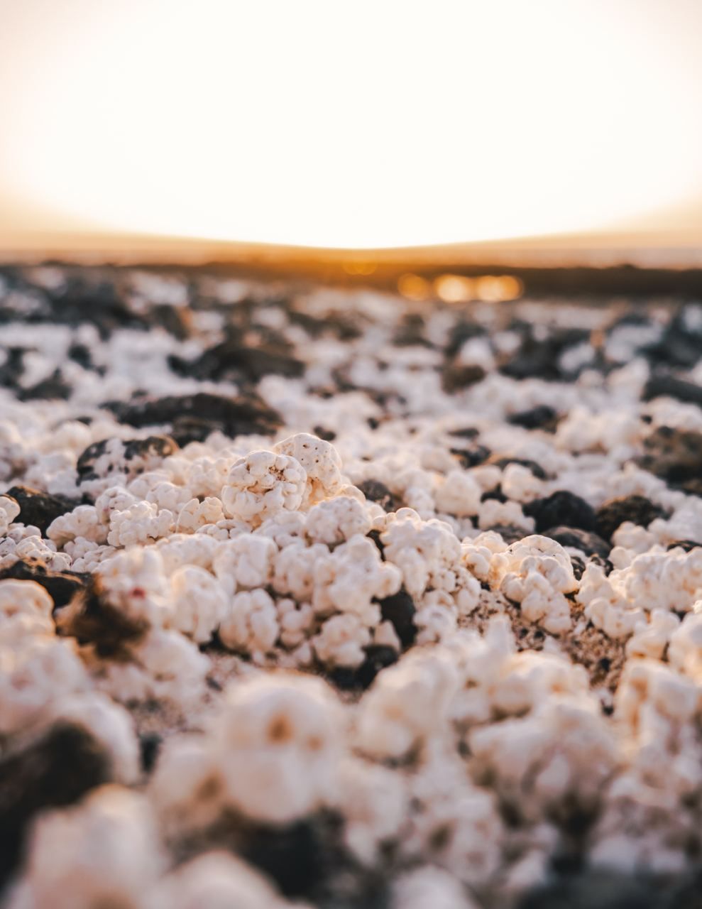 Eine Nahaufnahme aus der Froschperspektive von weißen, popcornartigen Mineralformationen, die den Boden bedecken, mit einem hellen Sonnenuntergang am Horizont.
