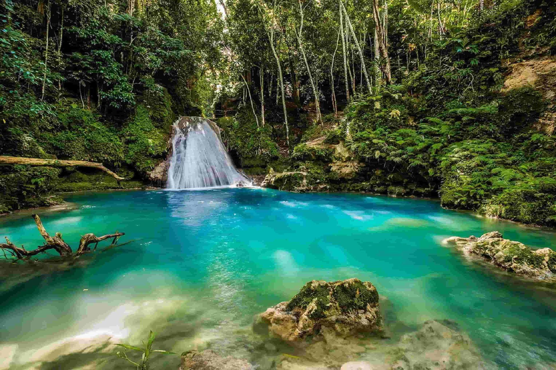 Una cascata si getta in una chiara piscina naturale turchese circondata da una fitta foresta verde e rocce muschiose.