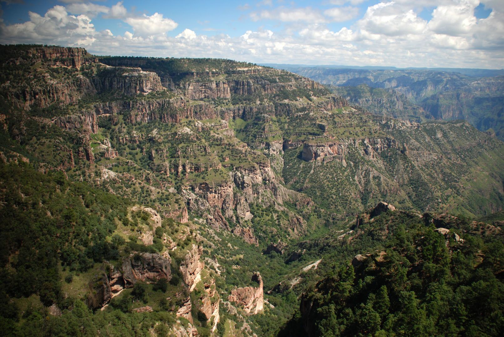 Una vista panorámica de un vasto sistema de cañones con acantilados rocosos y empinados, y laderas cubiertas de árboles y arbustos verdes bajo un cielo azul parcialmente nublado.
