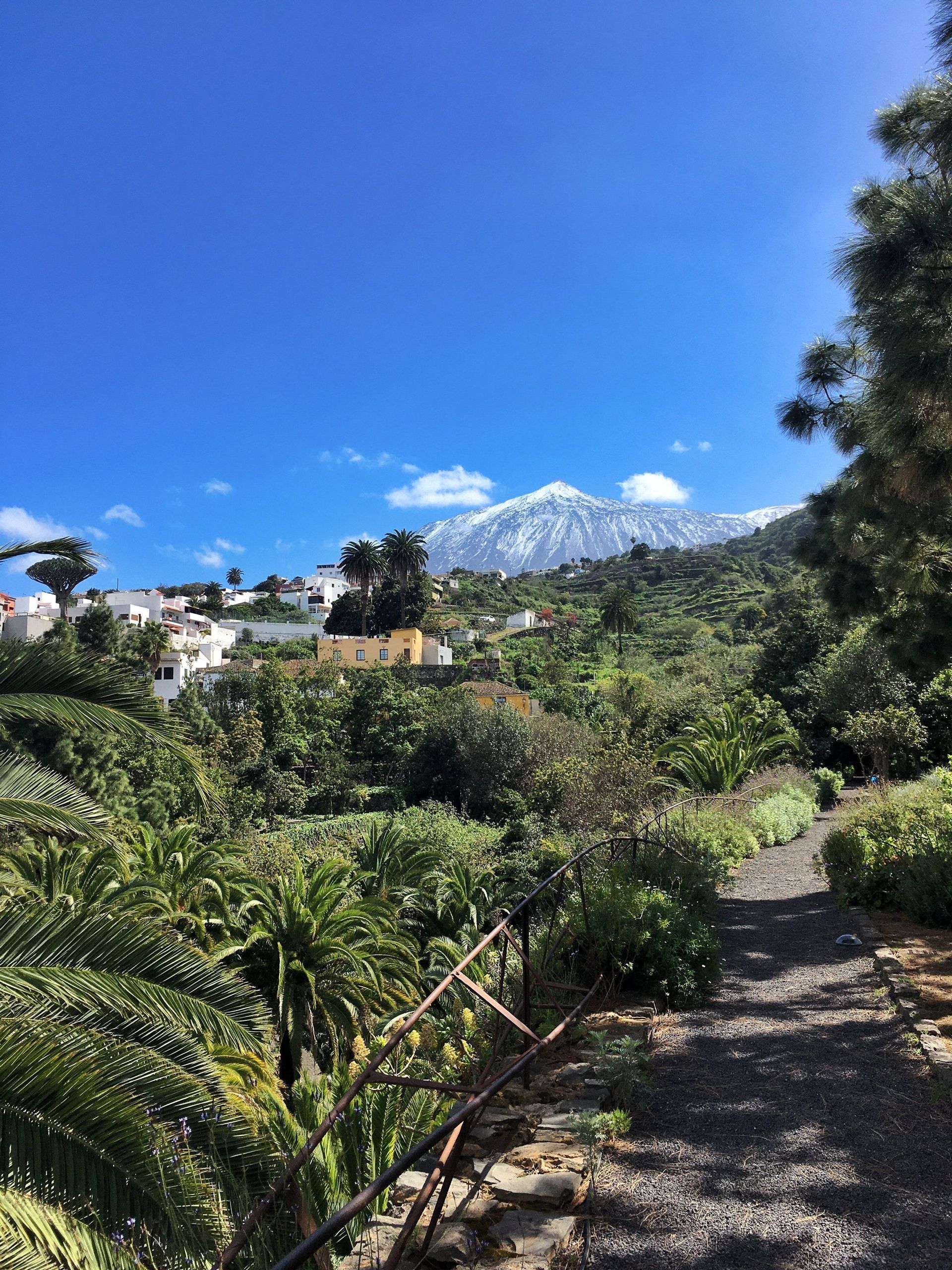 tenerife-volcano-landscape-nature.jpg