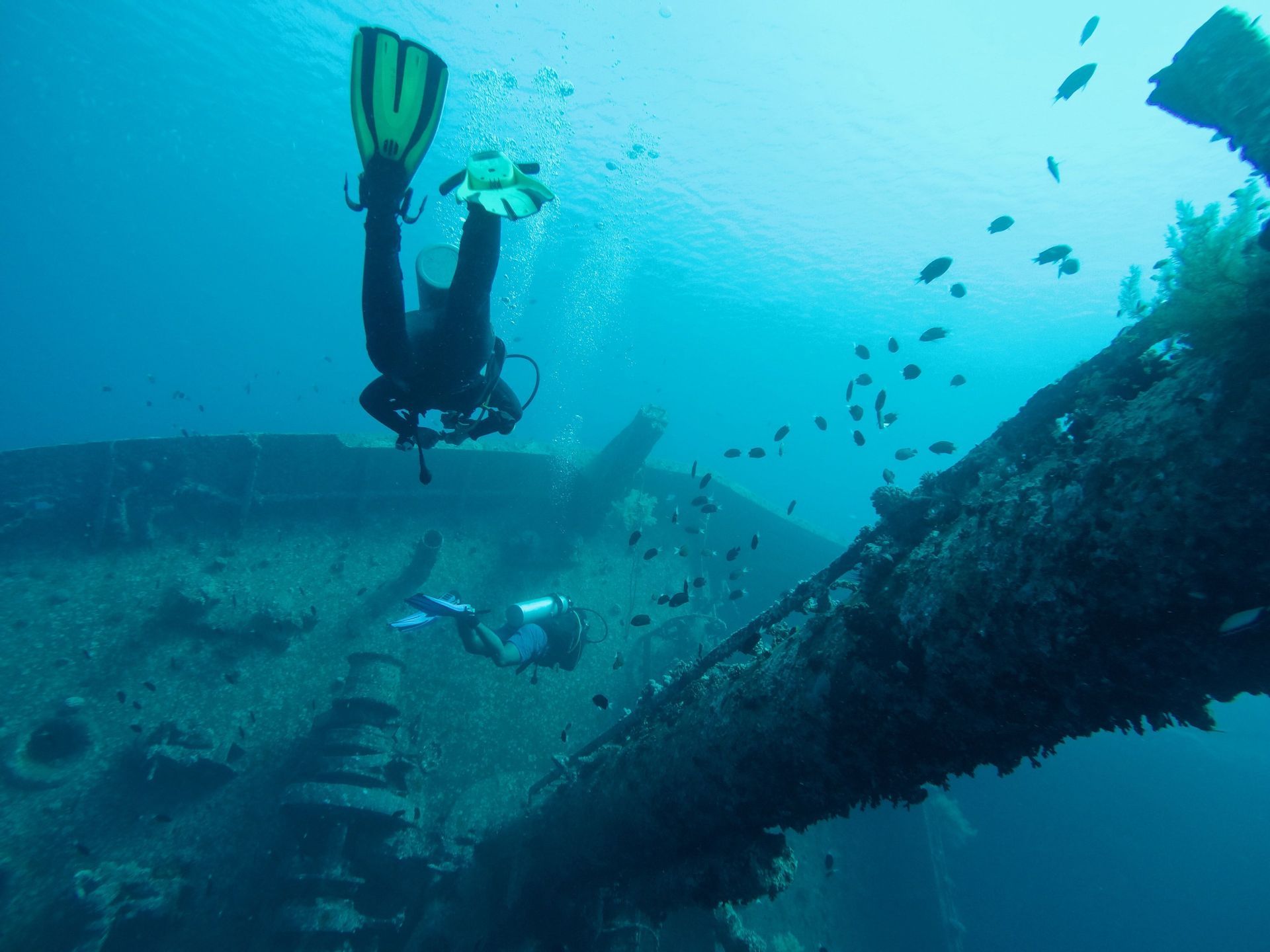 aqaba-red-sea-diving-adventure-trip.jpeg