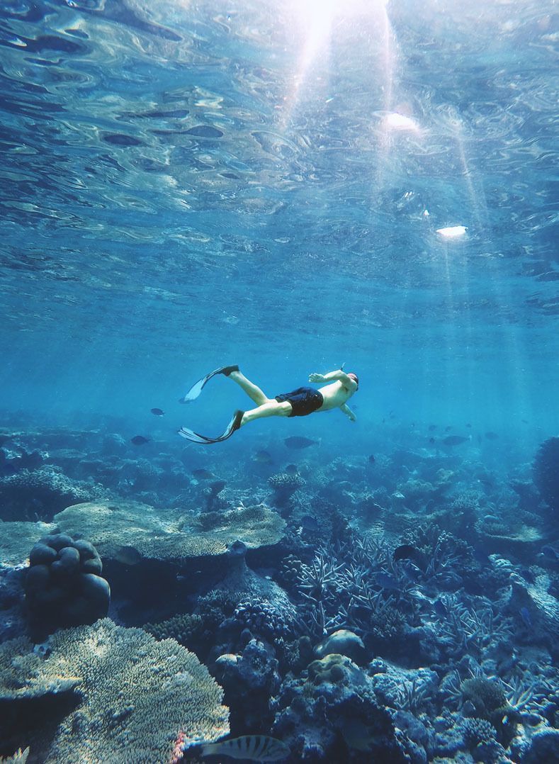 Maldive-sea-swimming-fish-sub.jpg