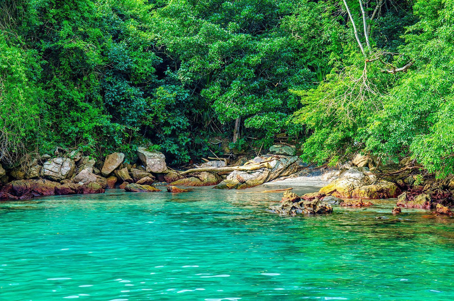 brasile-rio-de-janeiro-spiaggia-mare-natura.jpg