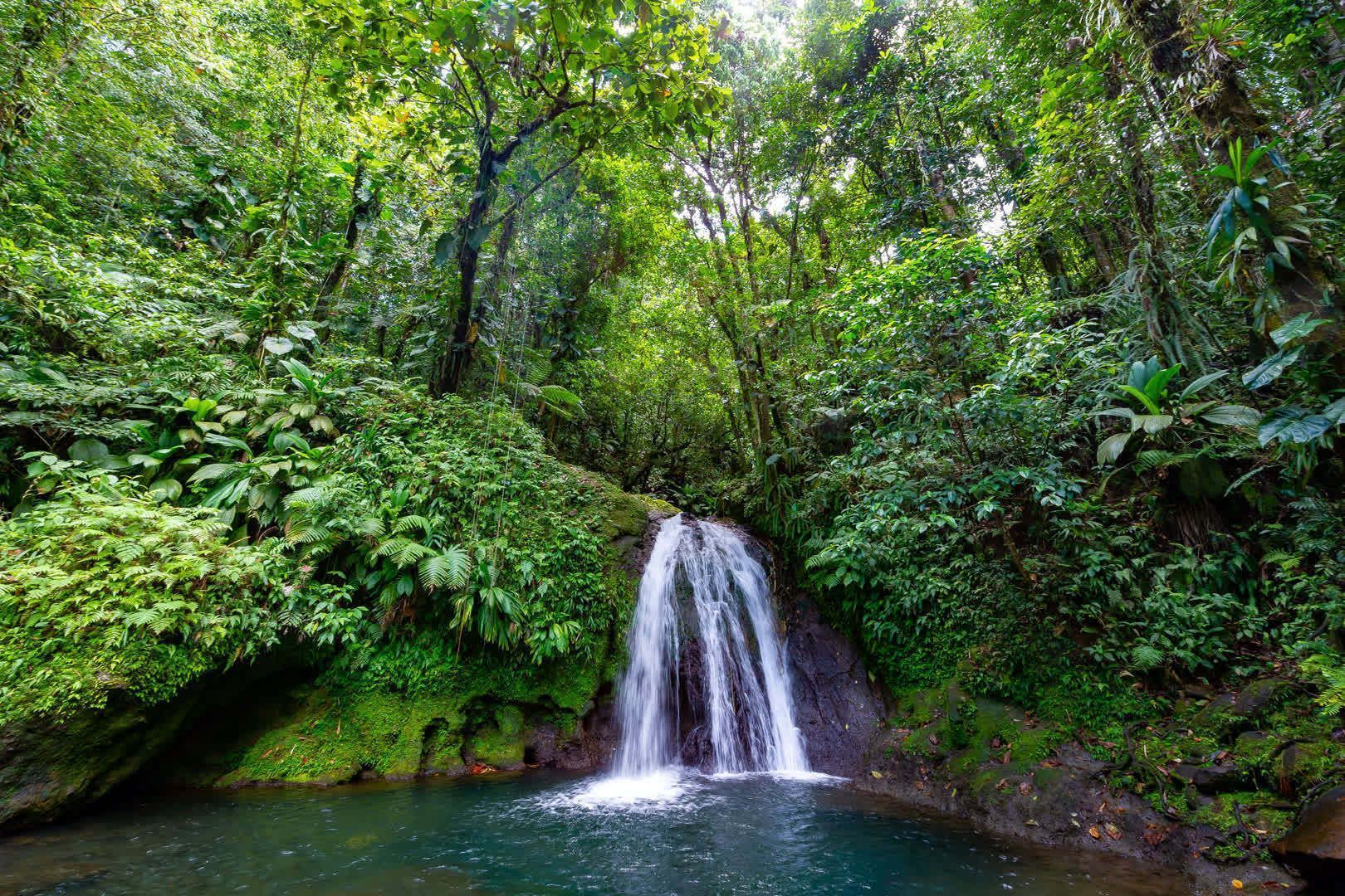 guadeloupe-waterfall-nature-adventure-group-friends.jpeg