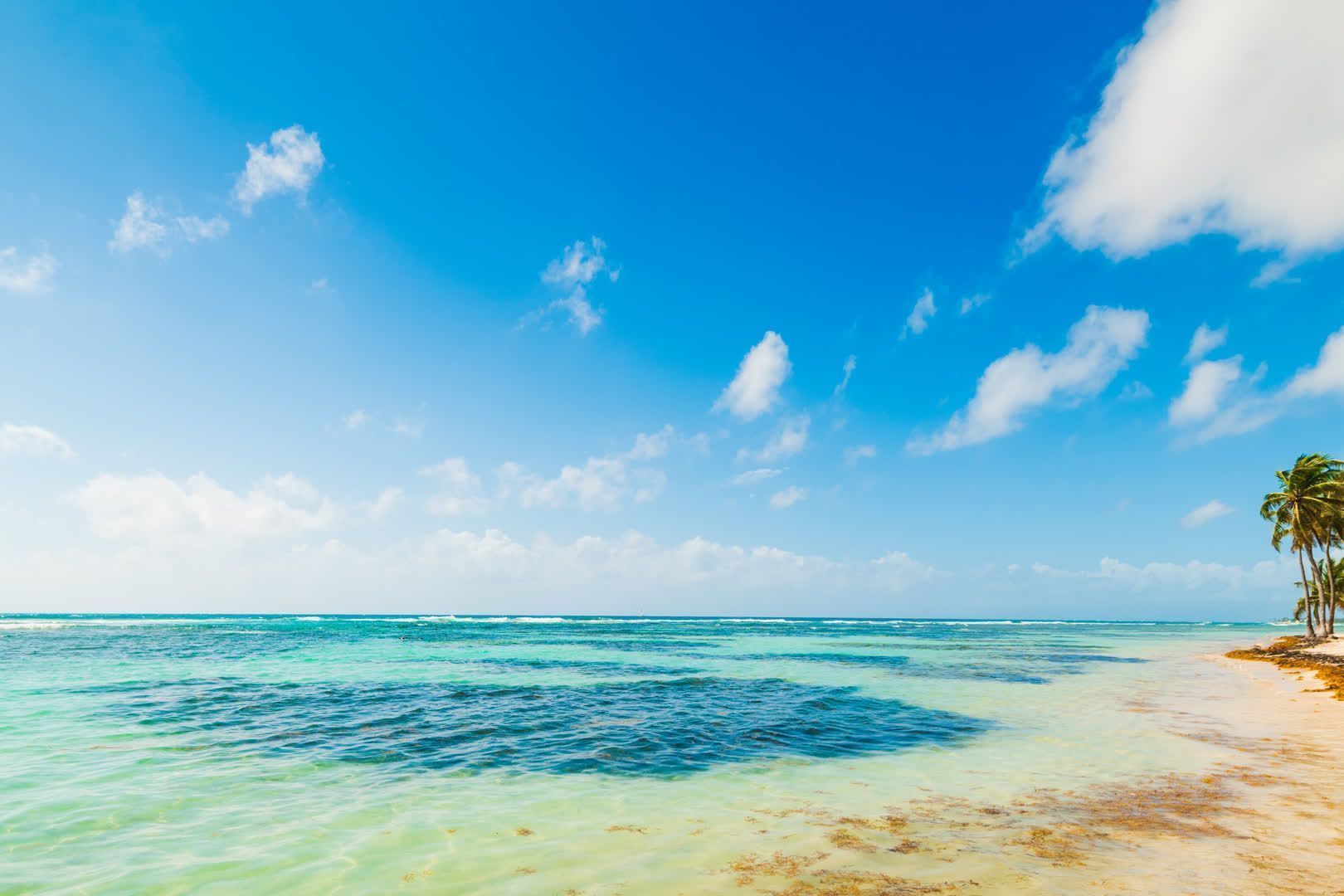 beach-life-caribbean-island-guadeloupe-relax-discover-nature.jpeg