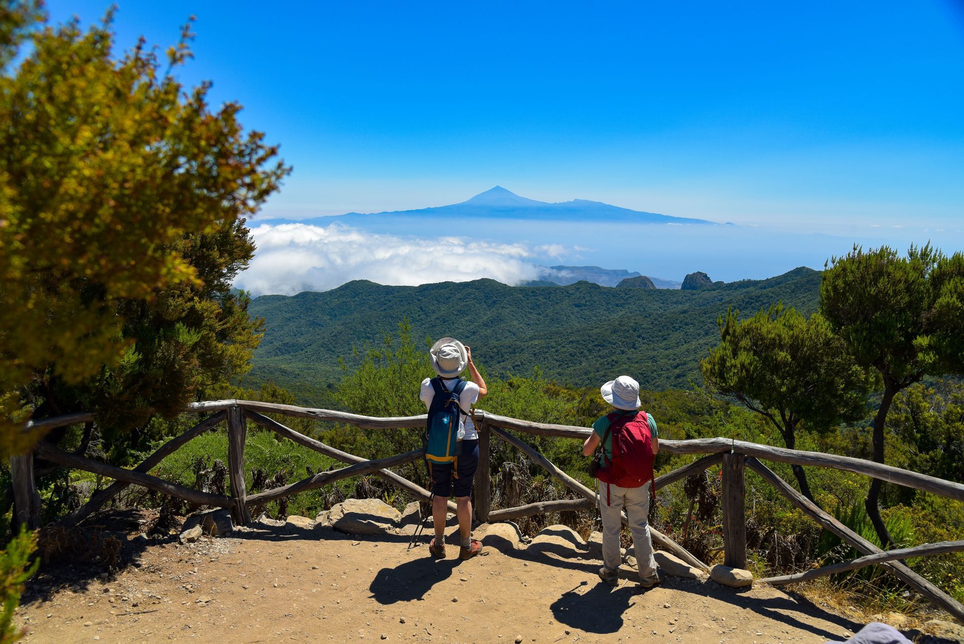 Tenerife-view-landscape-canaryisland.jpeg