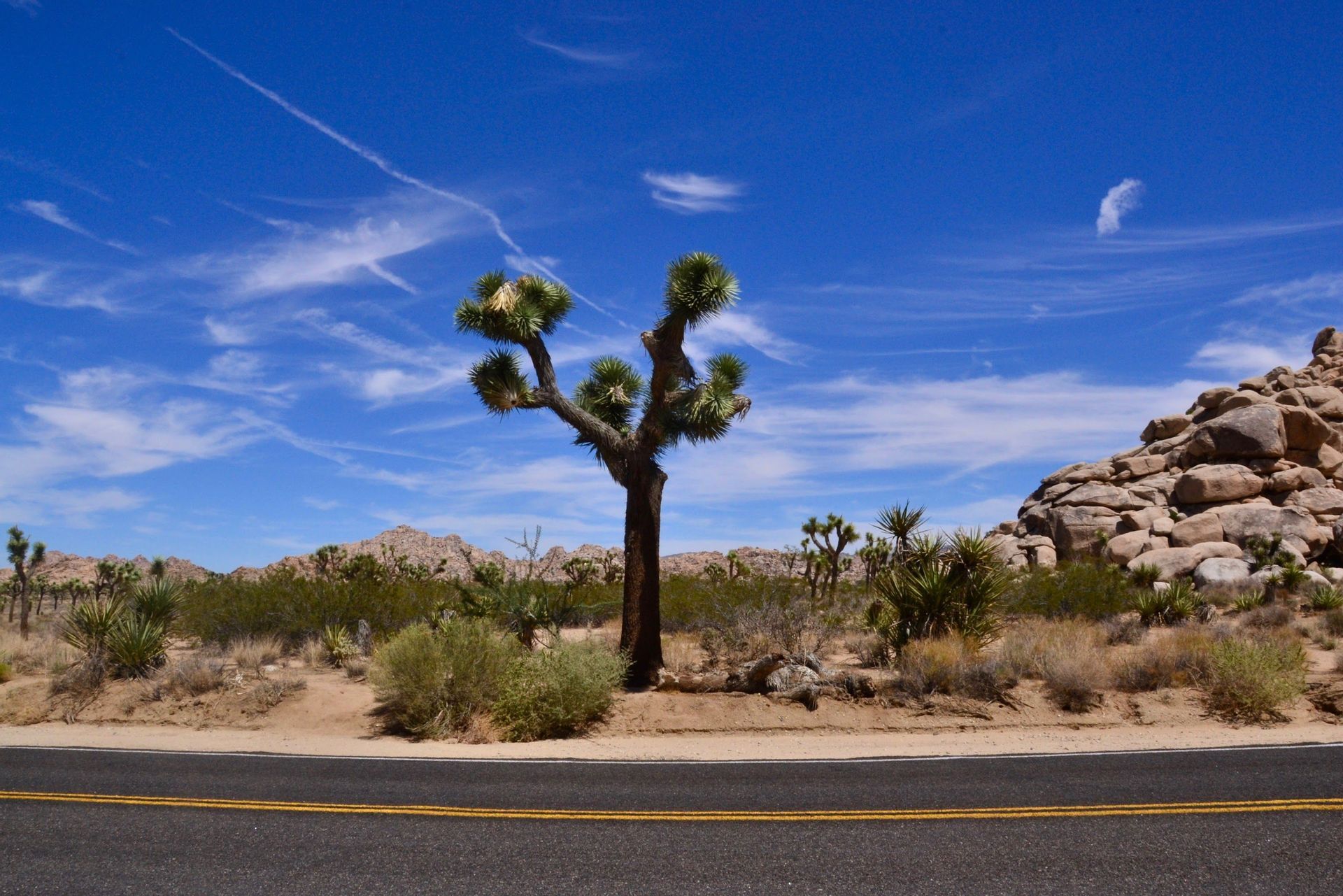 california-road-trip-usa-landscape.jpeg