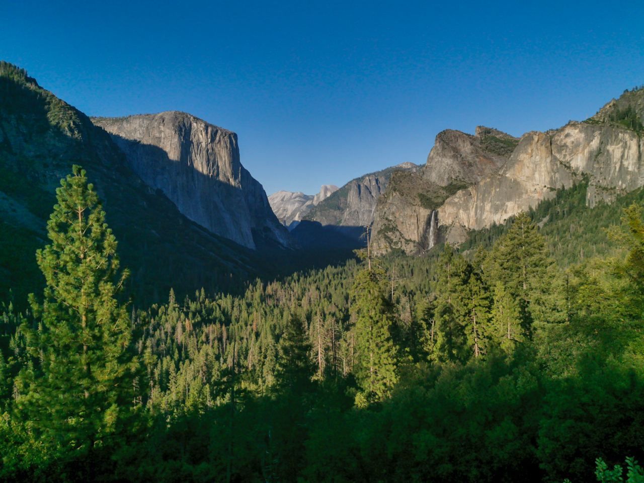 Ein weites Tal, das von einem dichten Kiefernwald bedeckt ist, umgeben von hohen Granitfelsen und einem entfernten Wasserfall unter einem strahlend blauen Himmel.