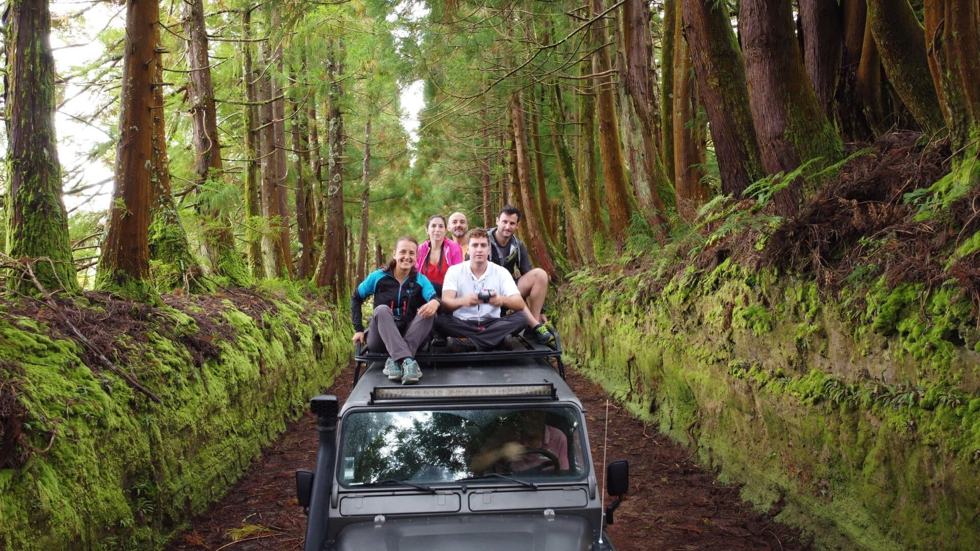 Azores-jeep-group-forest-landscape.jpg