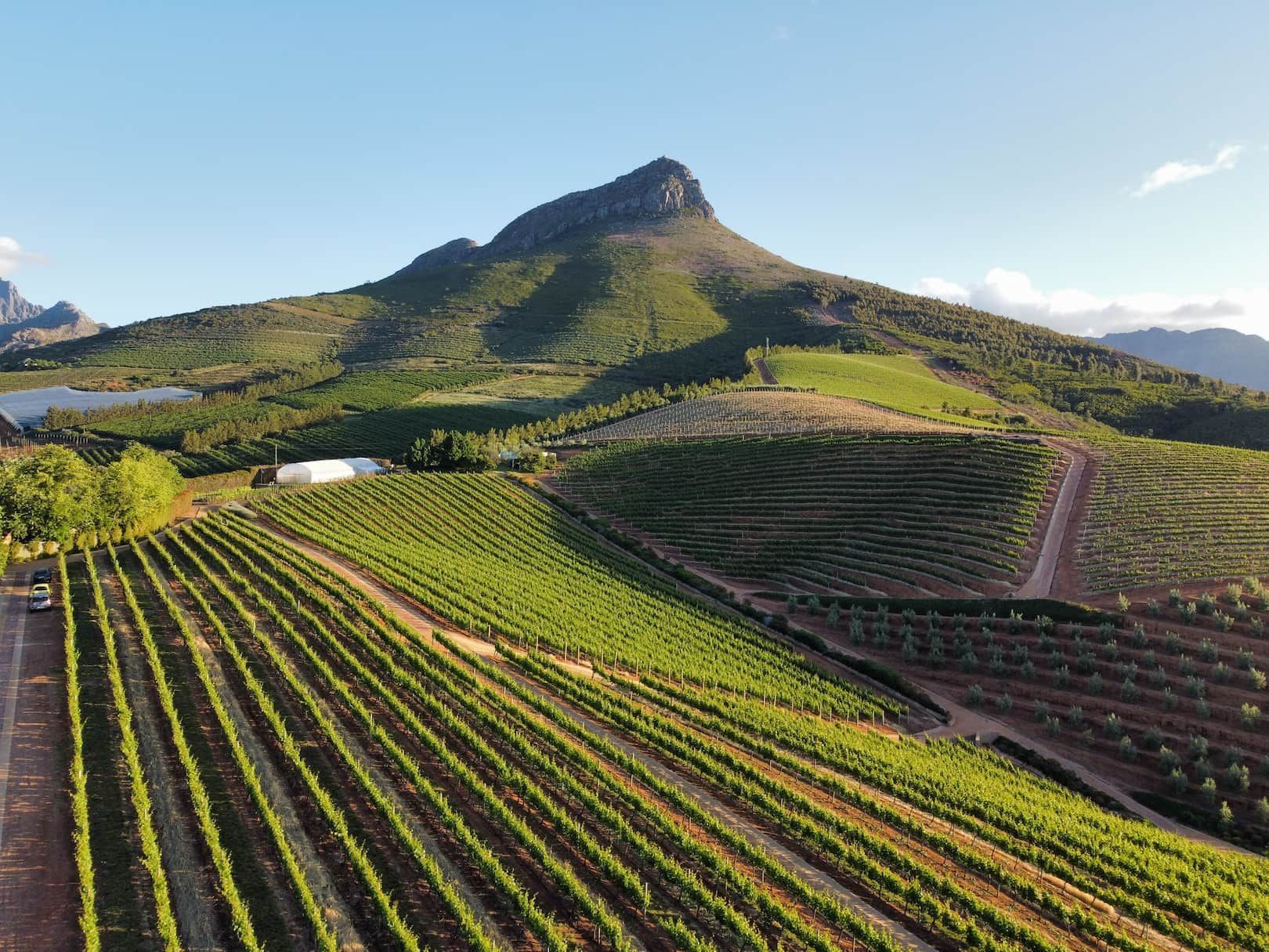 south-africa-wine-rout-travel-tour.jpg