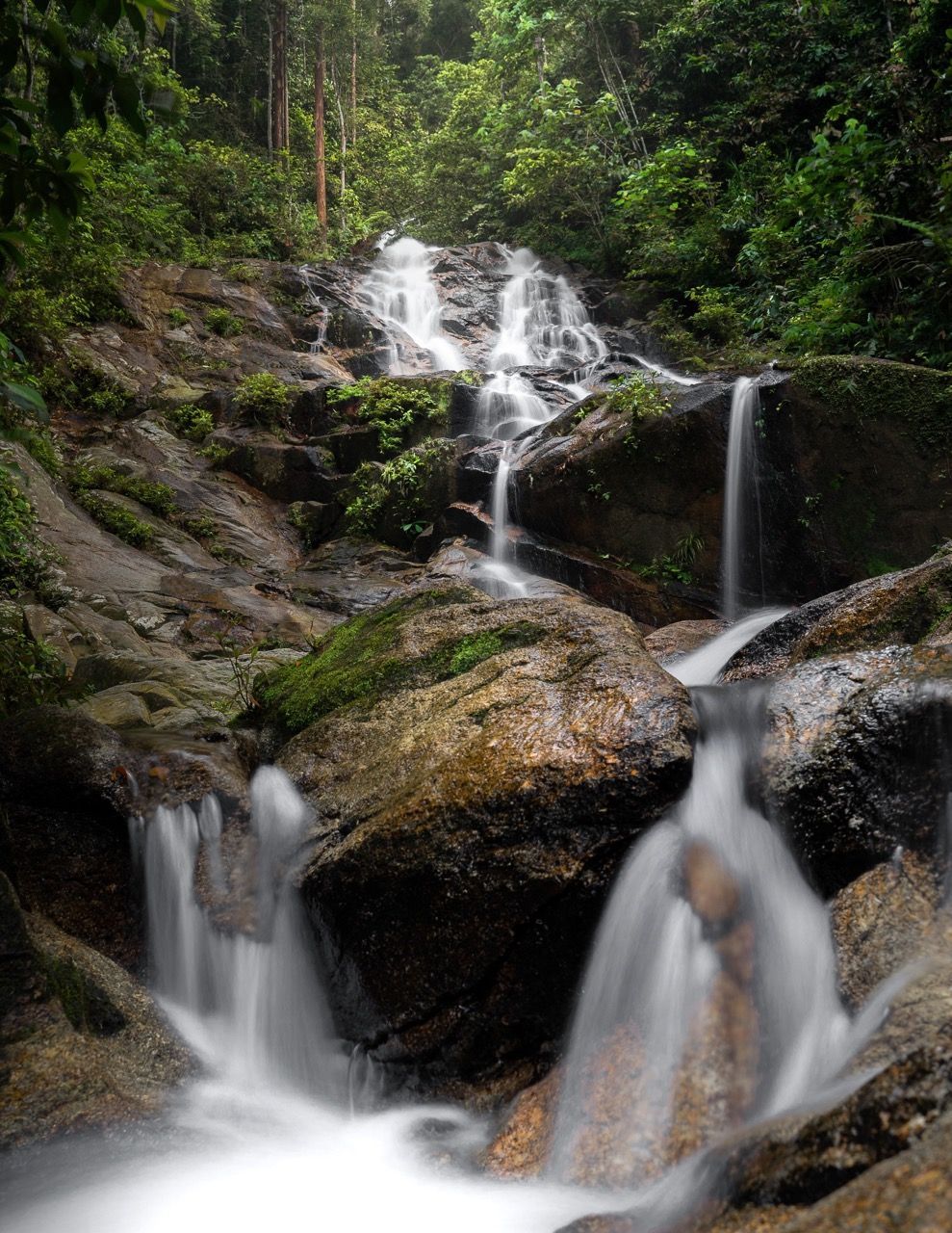 Una cascata a più livelli, catturata con una lunga esposizione, scorre su rocce muschiose in una lussureggiante foresta verde.
