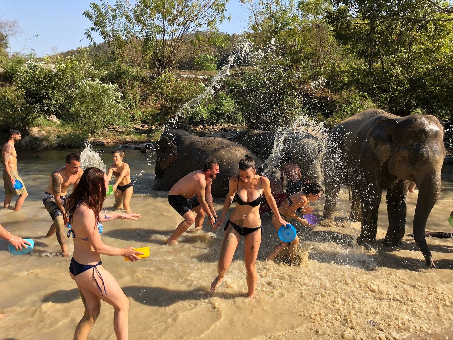 Un viaggio di gruppo WeRoad che sguazza e gioca con gli elefanti in un fiume poco profondo e fangoso.