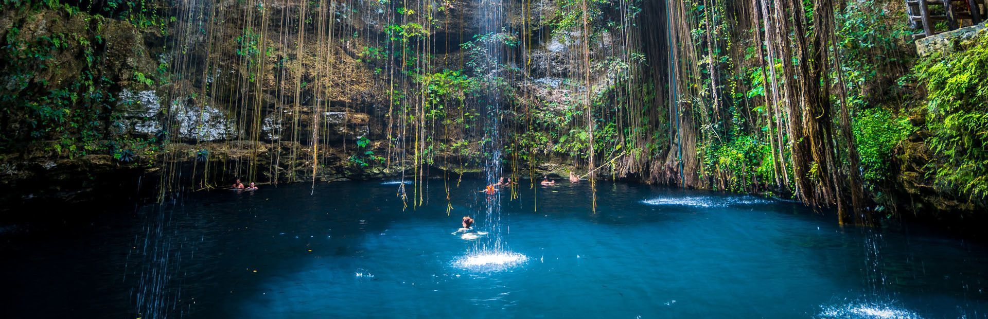 Un viaje en grupo WeRoad nada en las aguas azules de un cenote, rodeado de acantilados verdes exuberantes y lianas colgantes.