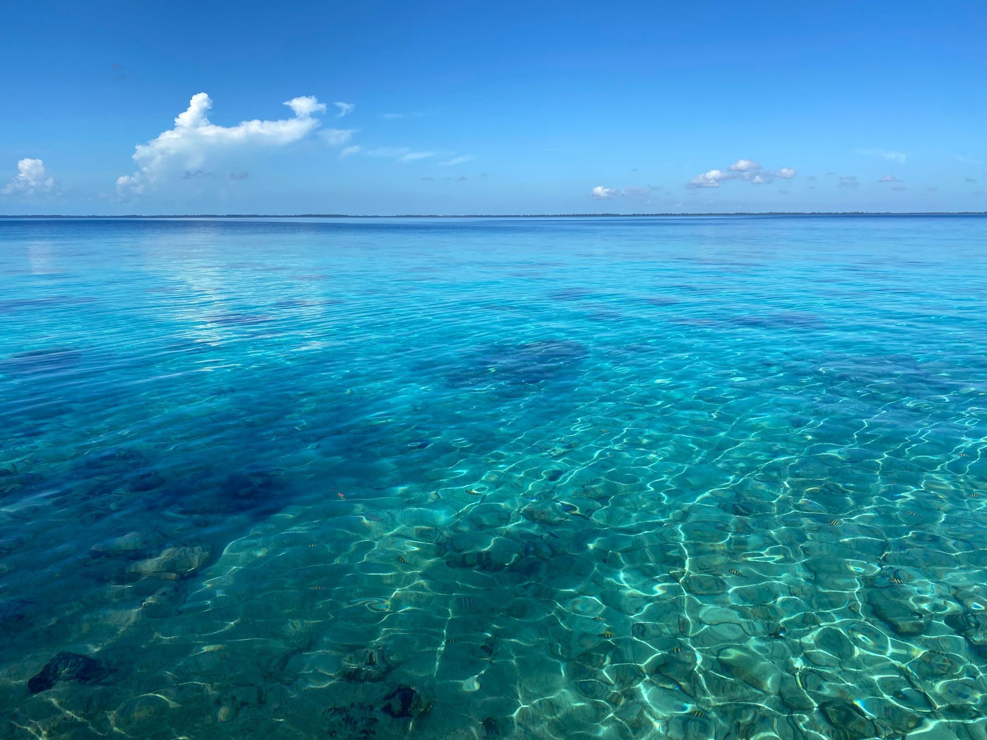 Giuseppe Della Porta WeRoad