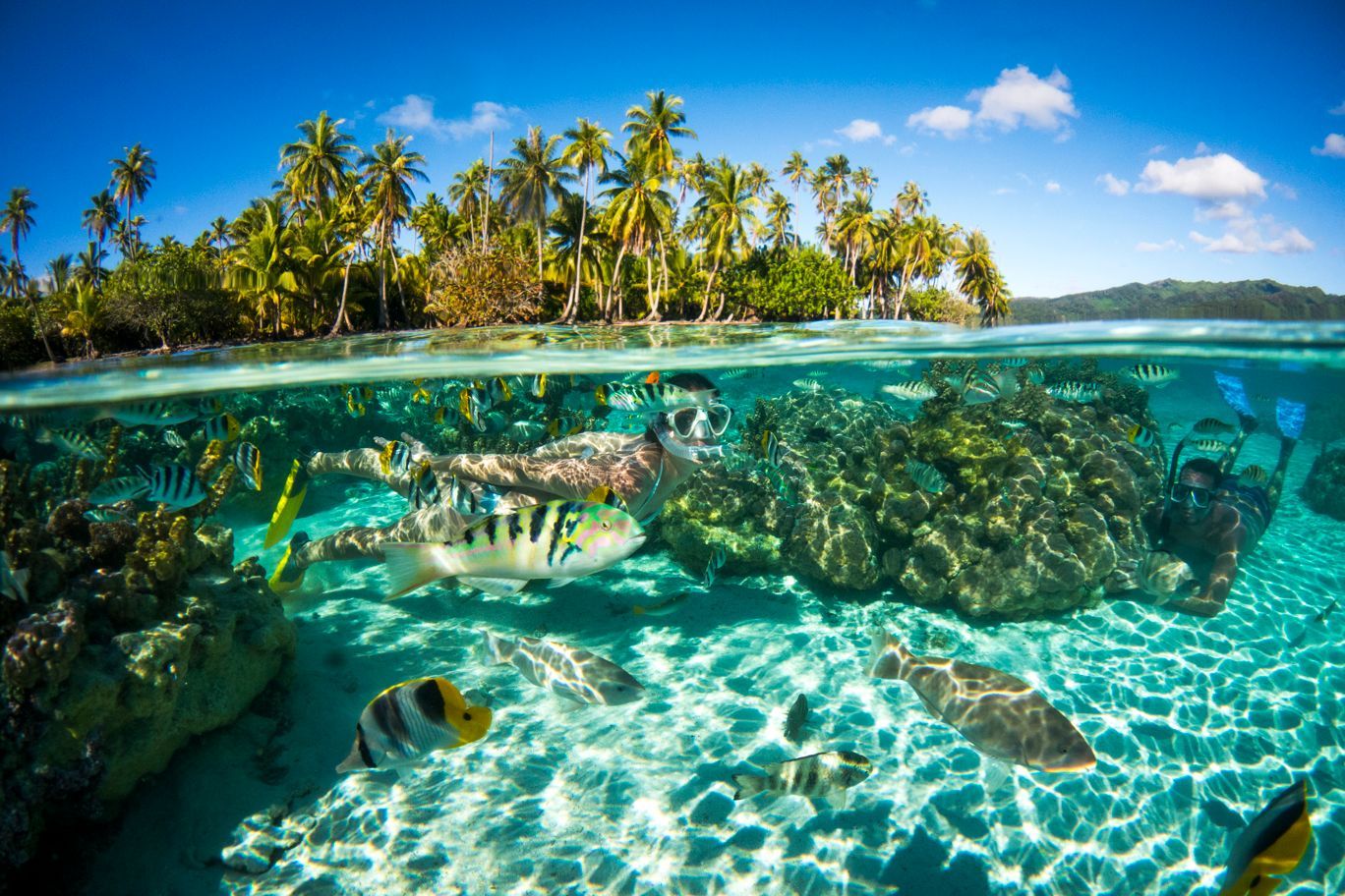 P2-02-MOOREA-TAHITI-002-DK-2017-David-Kirkland.jpg