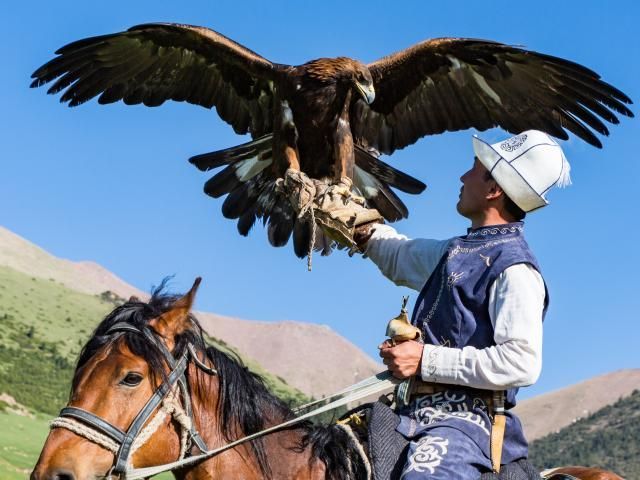 Un uomo in abiti tradizionali siede su un cavallo, tenendo un'aquila reale con le ali spiegate sul braccio guantato.