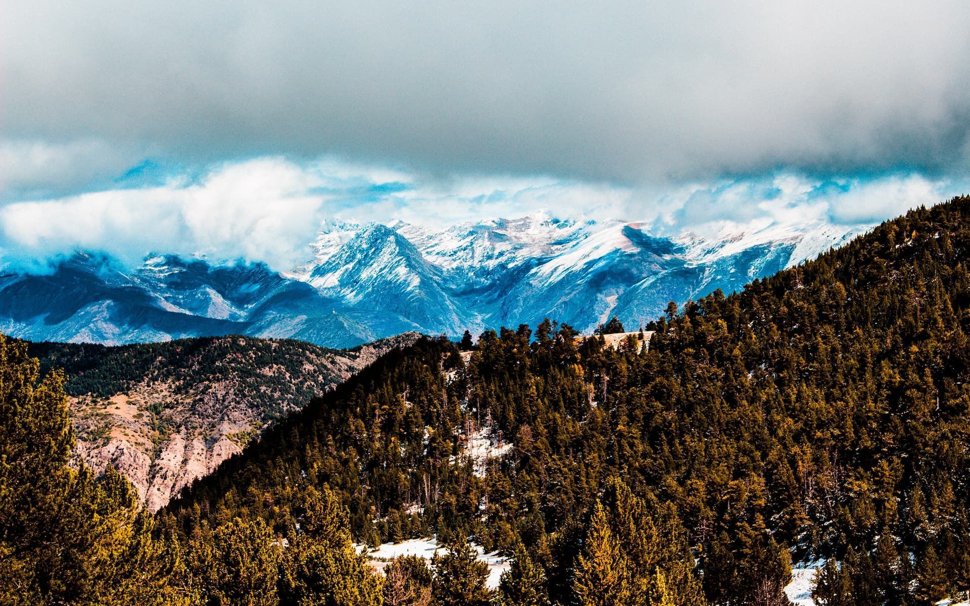 aleix-rafegas-farre-Li-O0y-Asuzcw-unsplash-2.jpg