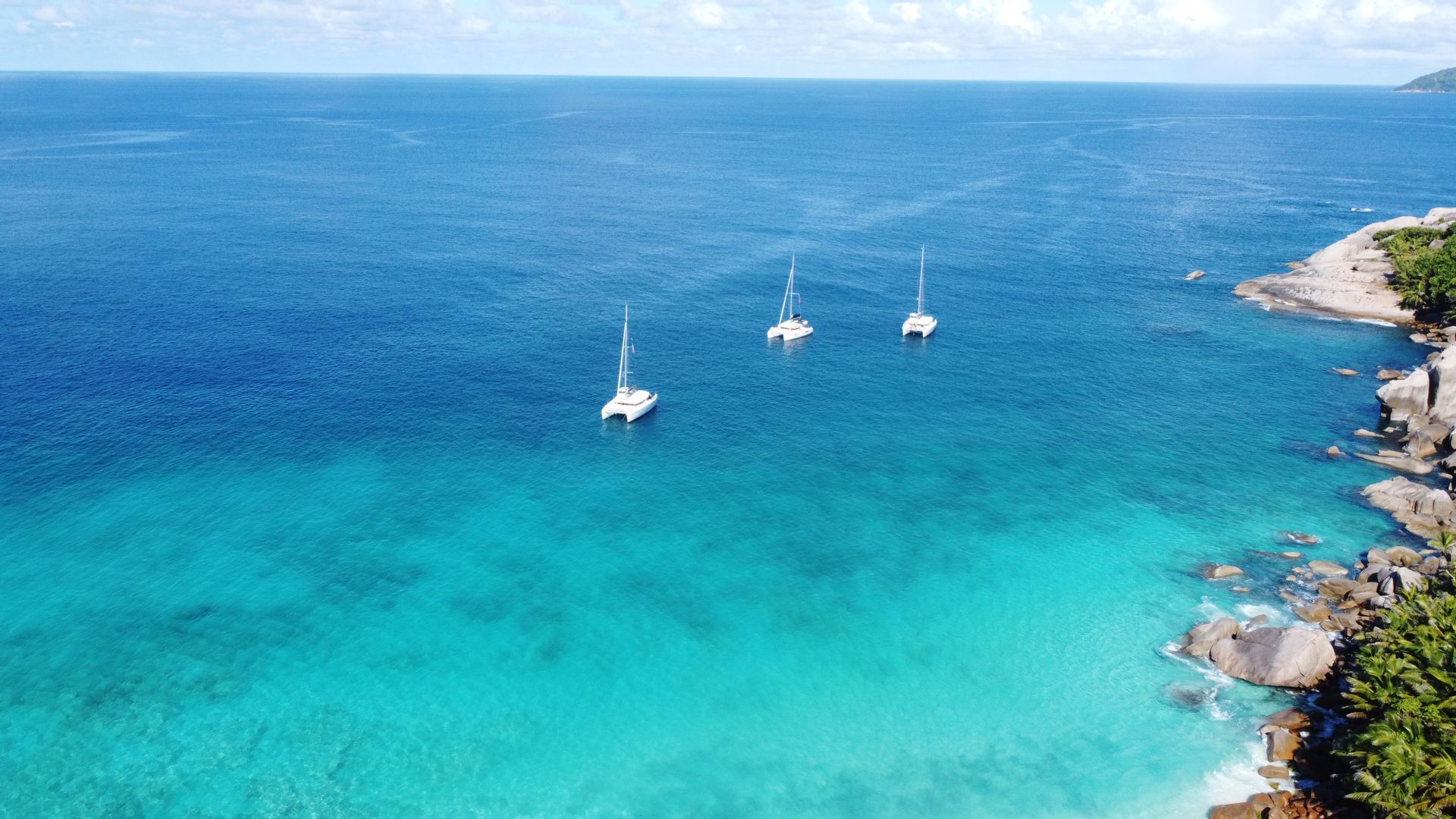 Andrea Boldini WeRoad