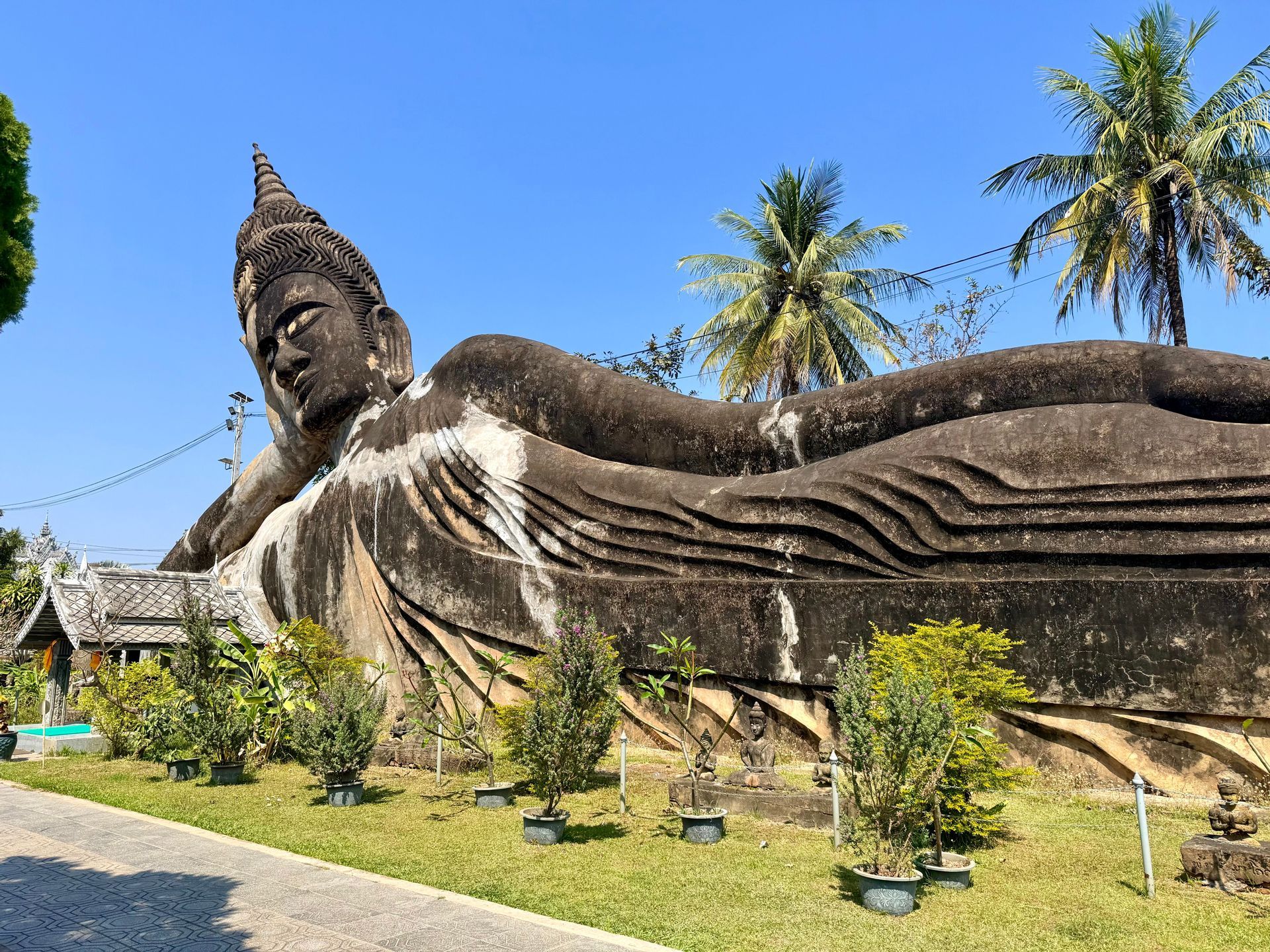 Una grande statua di Buddha sdraiato in pietra riposa all'aperto circondata da palme e piante in vaso sotto un cielo azzurro e limpido.