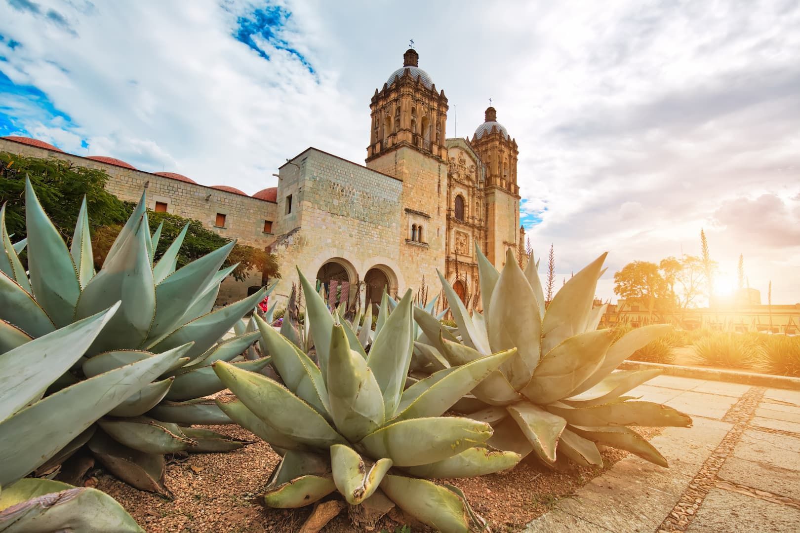 Grandes plantas de agave en primer plano de una iglesia histórica de piedra con dos campanarios ornamentados al atardecer.