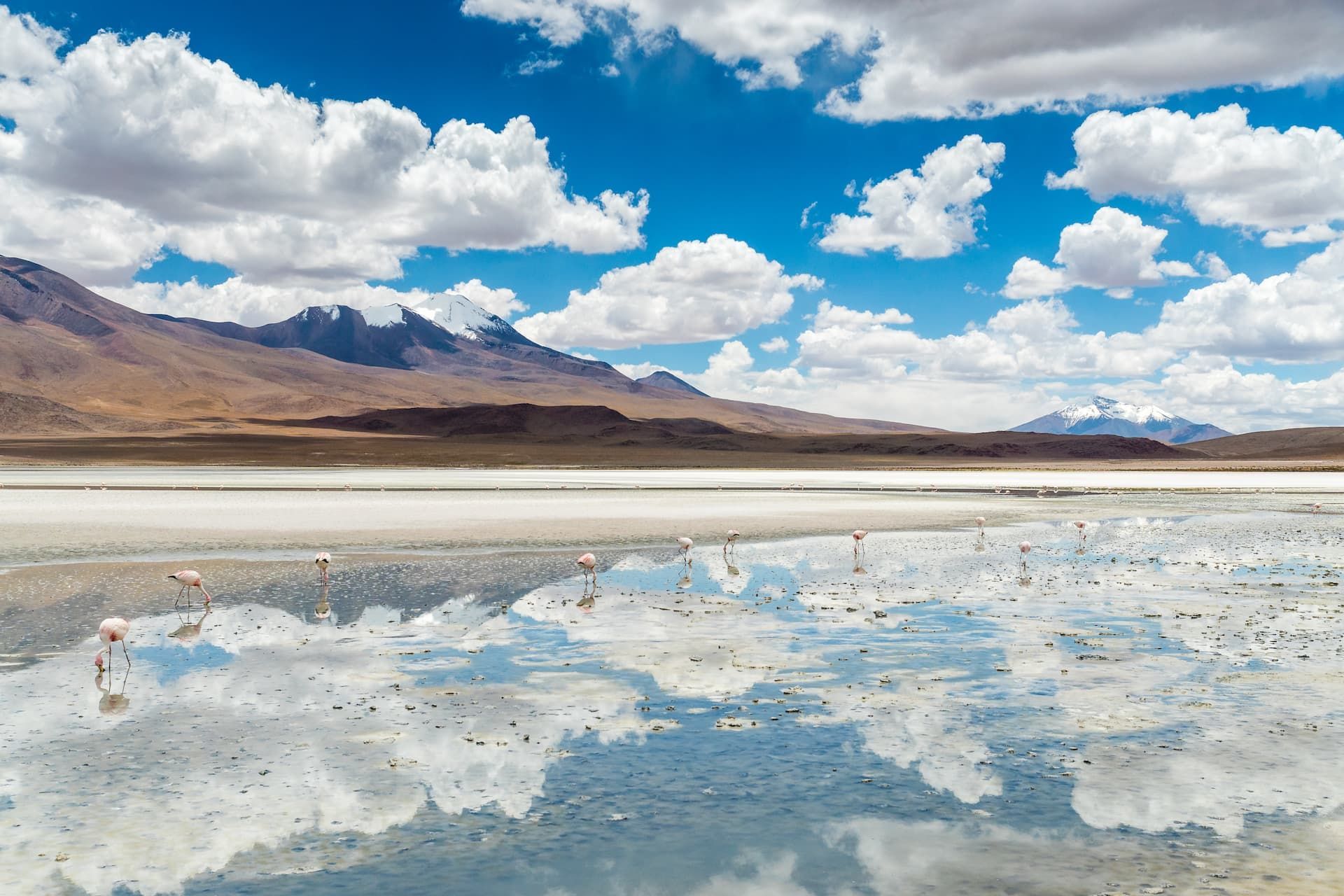 Bolivia-Chile-WeRoad